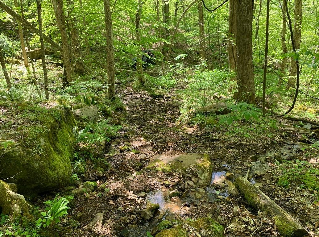 Clinch Mountain Rd, Eidson, TN 37731 MLS 4109504200 Land and Farm