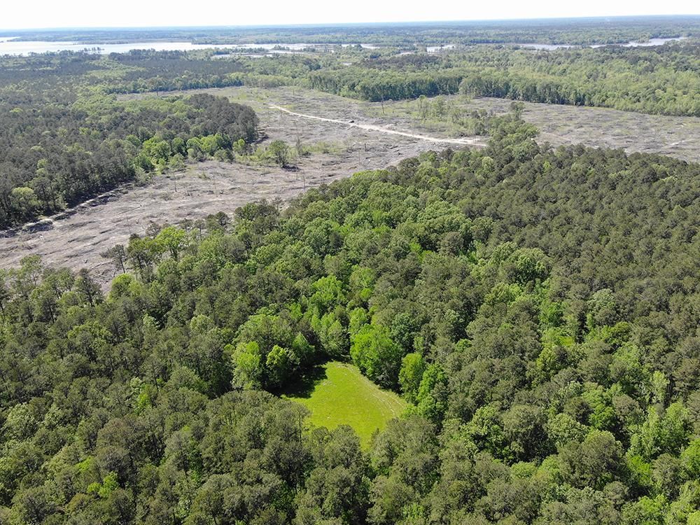 710 Acres, Mississippi 25, Lena, MS 39094 Land and Farm