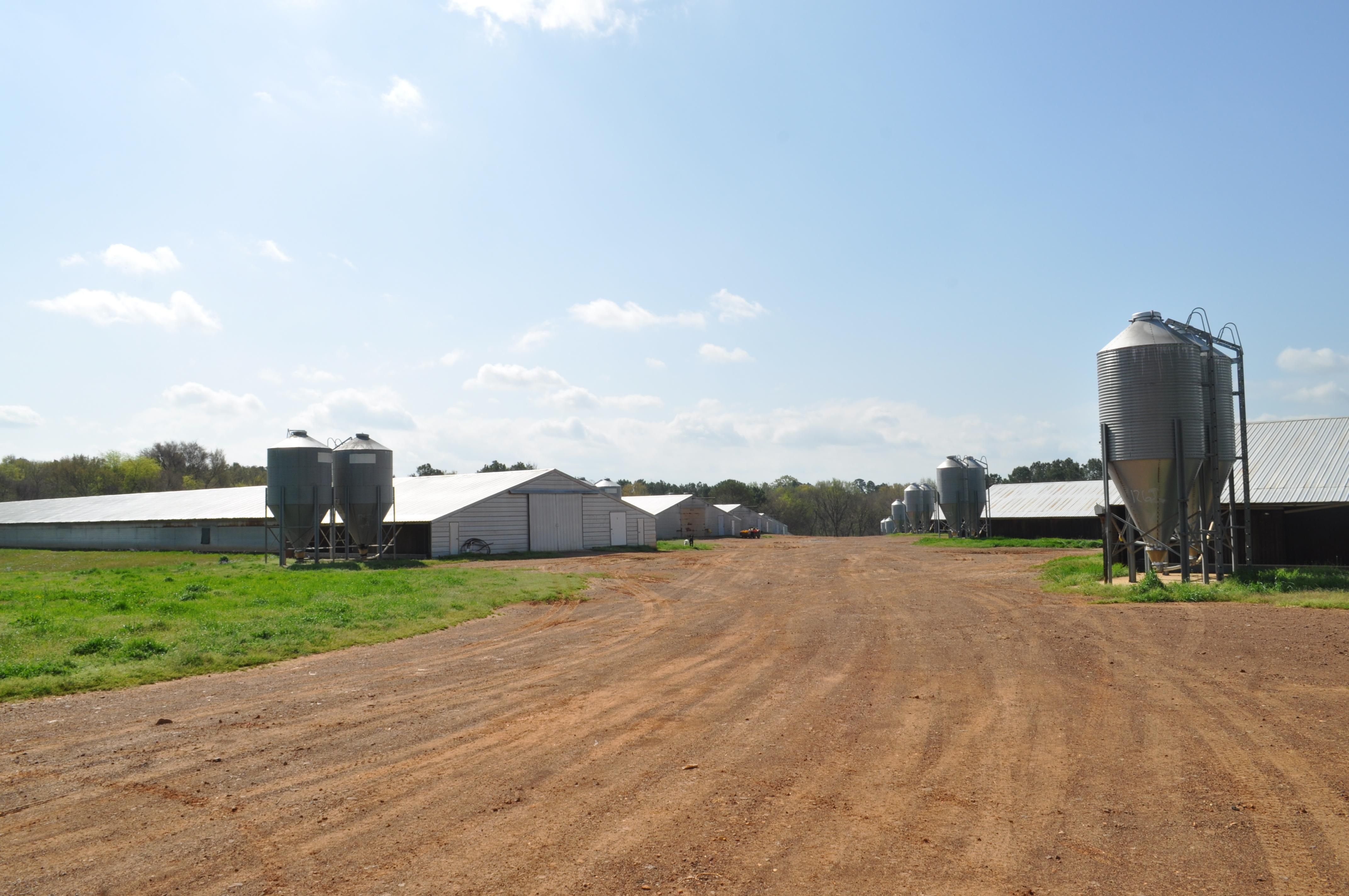 24 Acres, 288 County Road 1240, Pittsburg, TX 75686 Land and Farm