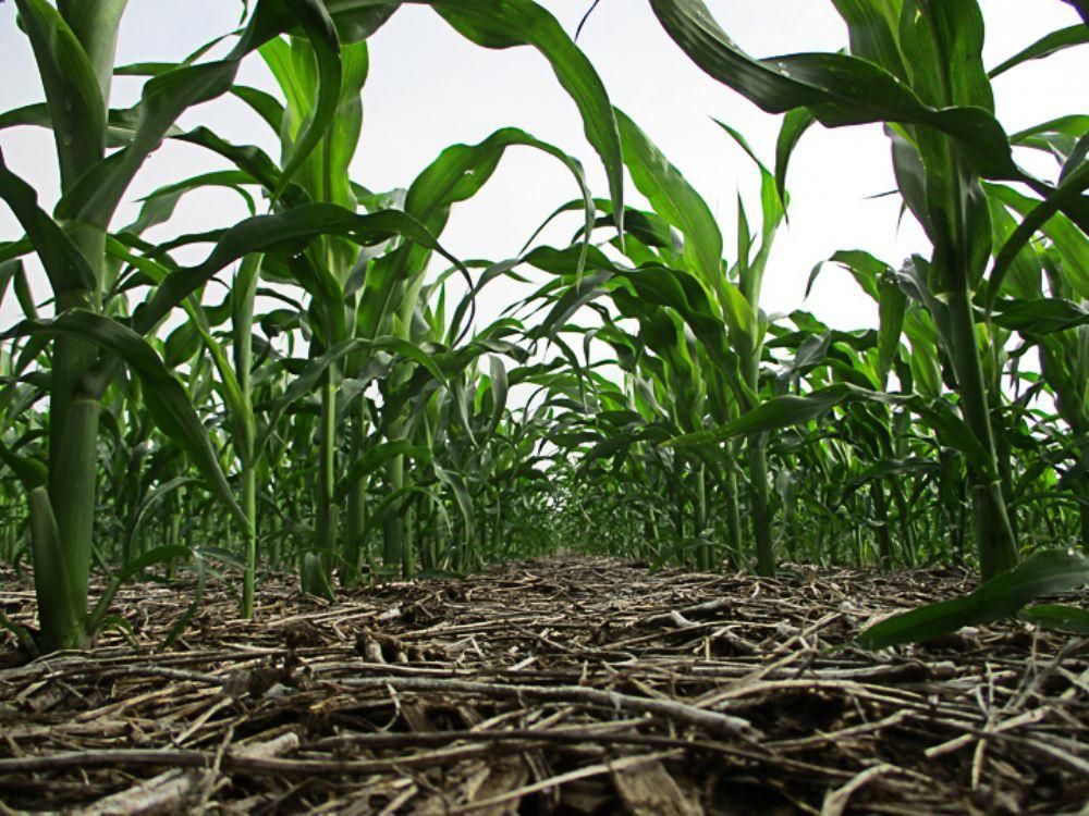 74 Acres, Garretson, SD Land and Farm