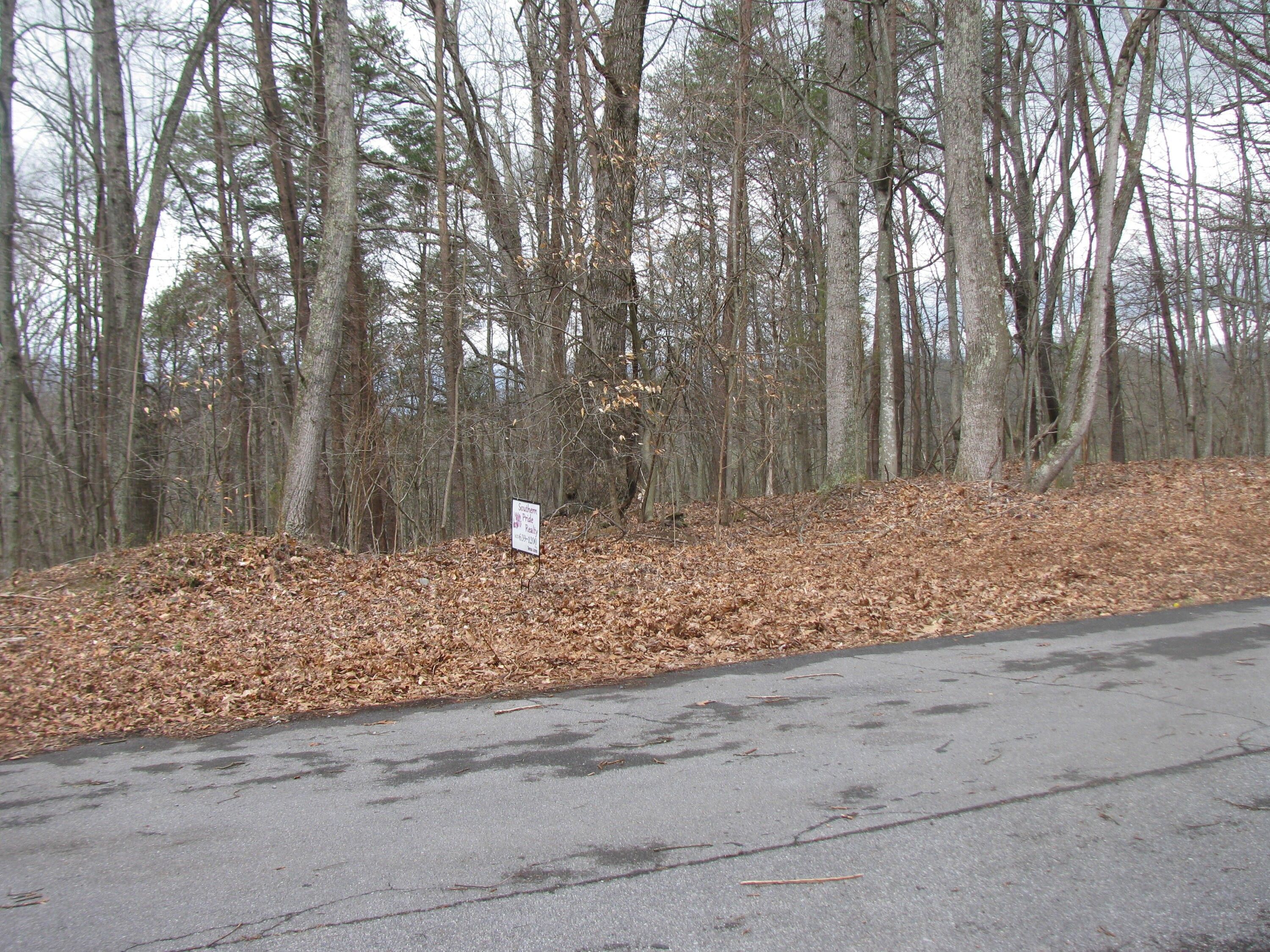 1.9 Acres, 0 Lynnwood Avenue, Church Hill, TN 37642 Land and Farm