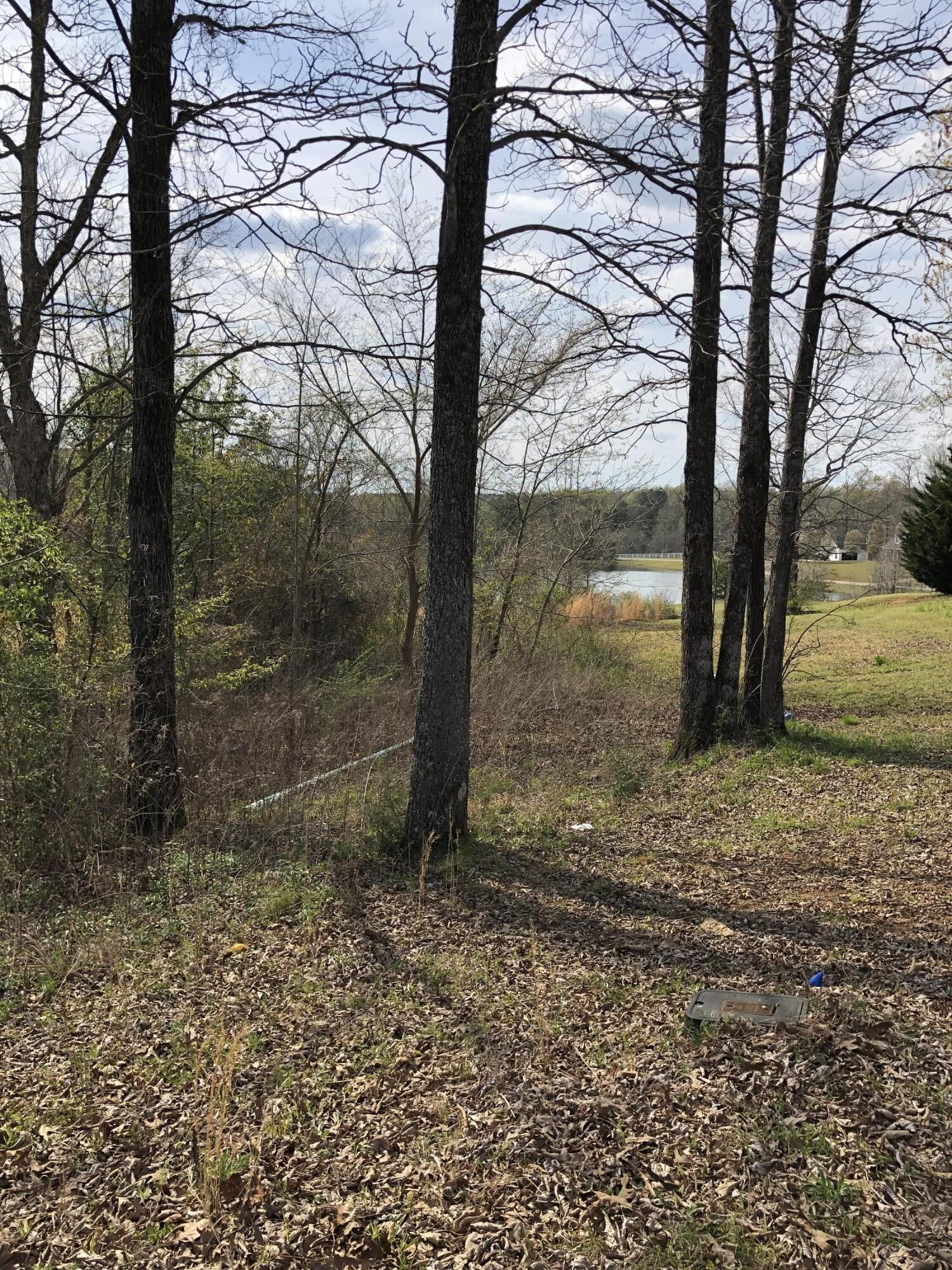 2.76 Acres, Walkers Cv., Pontotoc, MS 38863 Land and Farm