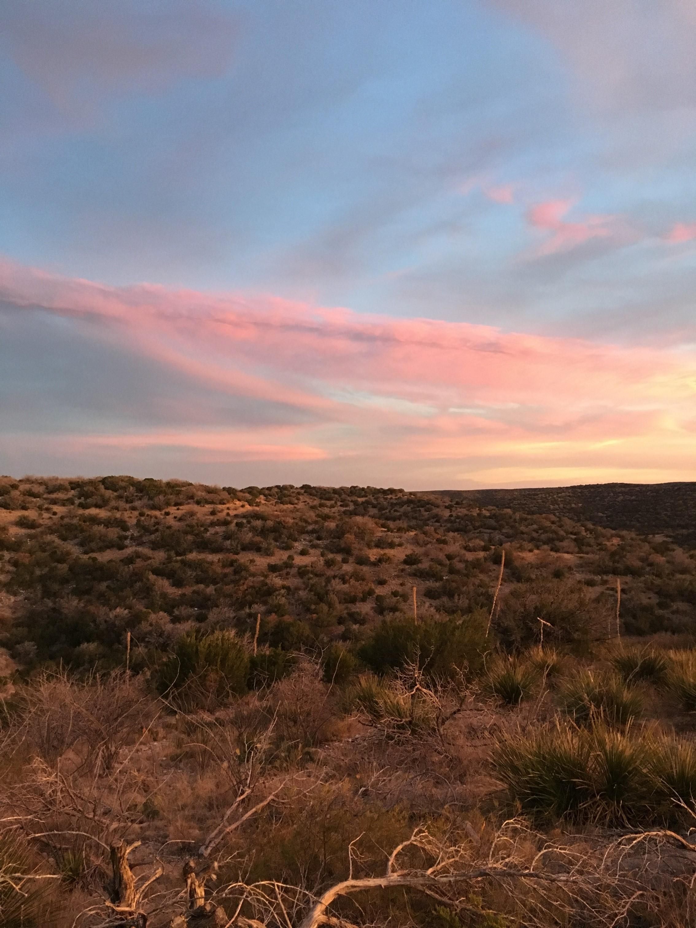 121.43 Acres, Loma Alta Ranch East Tracts 14 & 16, Loma Alta, TX 78840