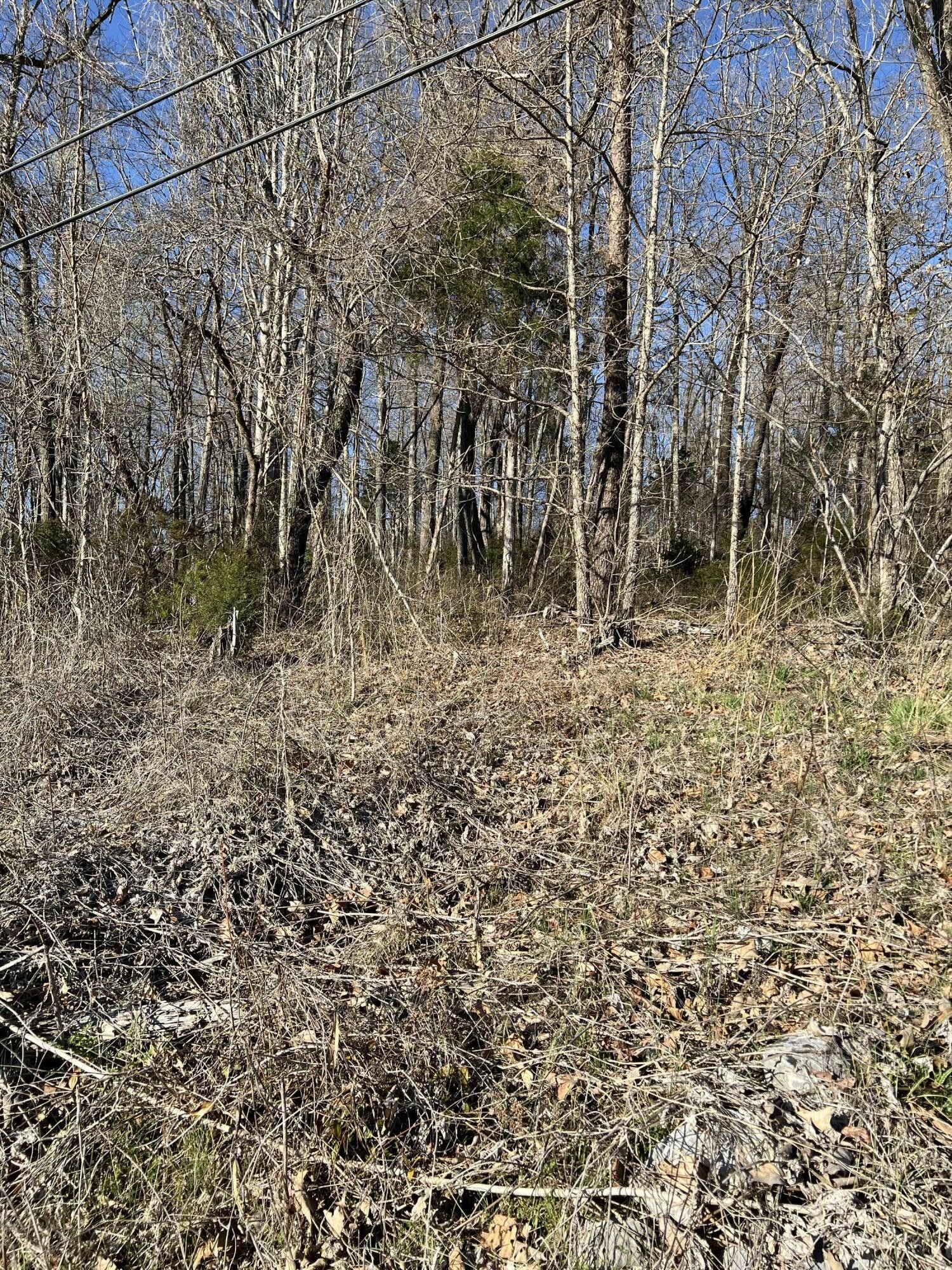 6.22 Acres, Tbd Powder Branch Road, Johnson City, TN 37601 Land and Farm
