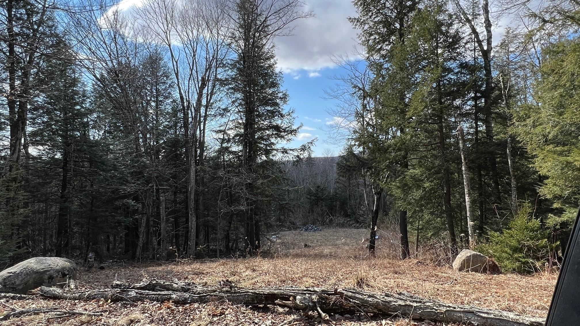 13.6 Acres, 1153 Faulkner Road, Whitingham, VT 05361 Land and Farm