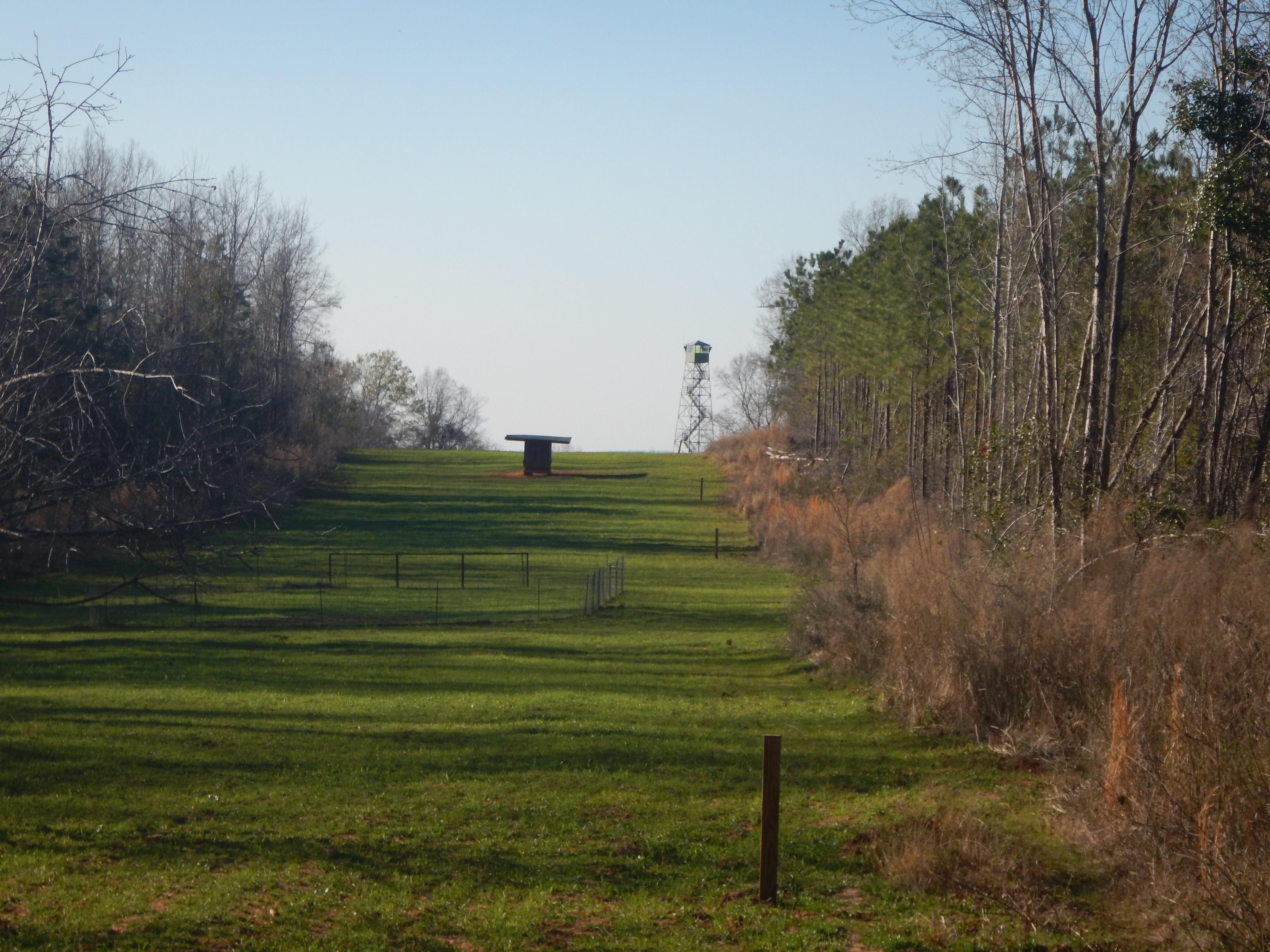 515.23 Acres, Wedgefield, SC 29168 Land and Farm