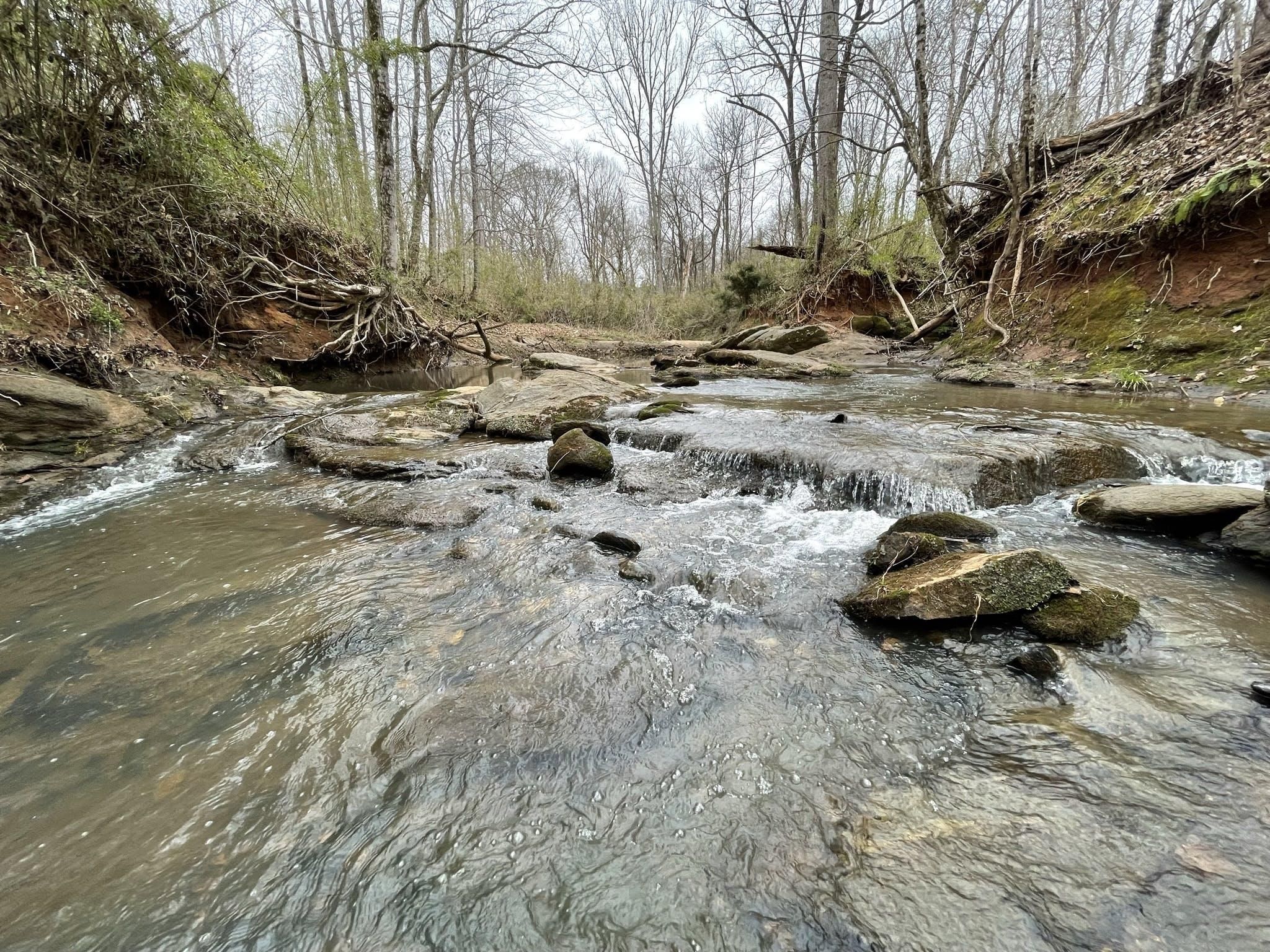 253 Acres, Mcconnells, SC Land and Farm