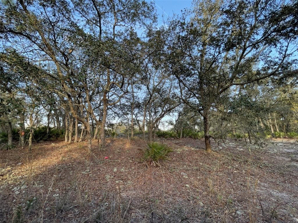 1.25 Acres, Lot 233 NE 122ND COURT, Bronson, FL 32621 Land and Farm