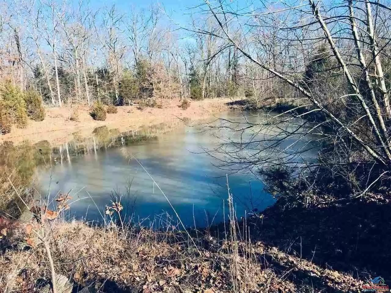 40 Acres, 26316 Furchess Rd., Cole Camp, MO 65325 Land and Farm