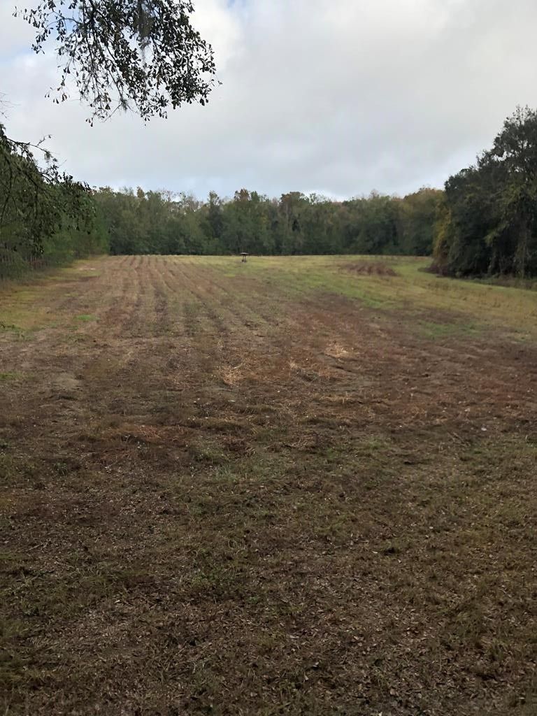 40 Acres, Mt Olive Church Rd, Lamont, FL 32336 Land and Farm