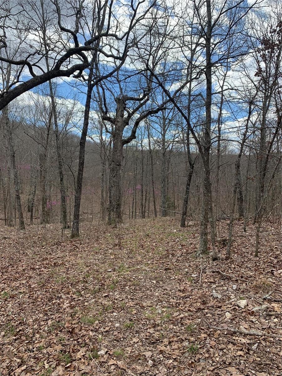 40 Acres, 3149 Forest Service Rd, Doniphan, MO 63935 Land and Farm