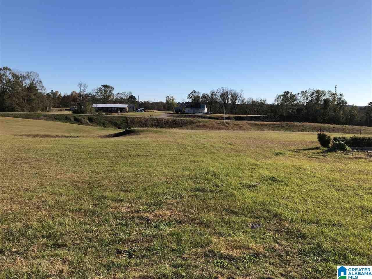 10 Acres, 0 BOILING SPRINGS ROAD, Ohatchee, AL 36271 Land and Farm