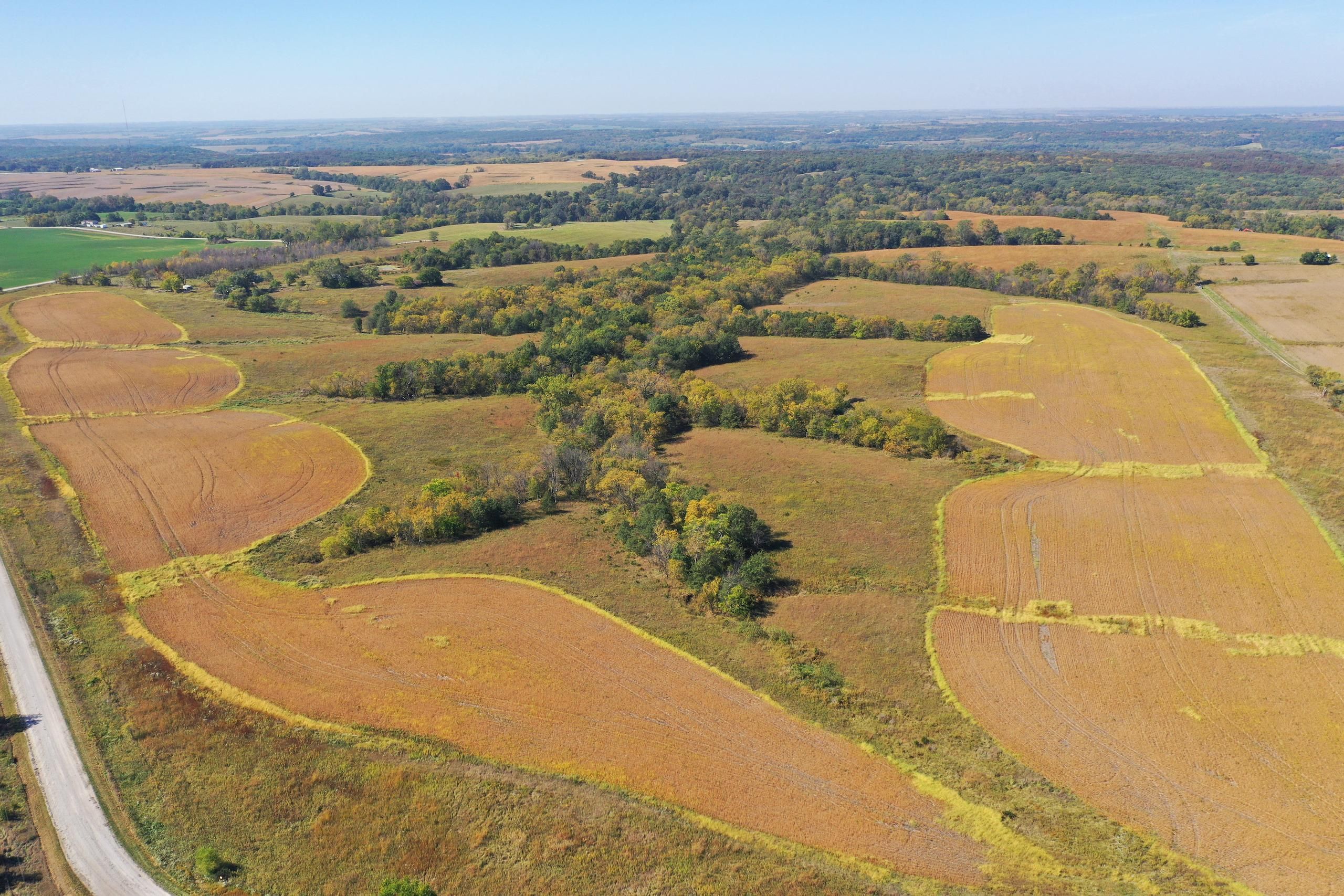 193 Acres, 210th Ave, LotWp001, Van Wert, IA 50262 Land and Farm