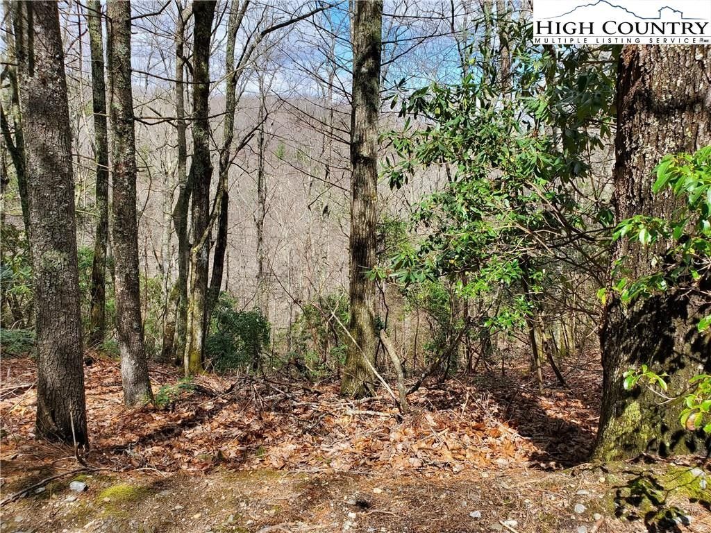 0.73 Acres, Lot 5 River Ridge Road, Boone, NC 28604 Land and Farm