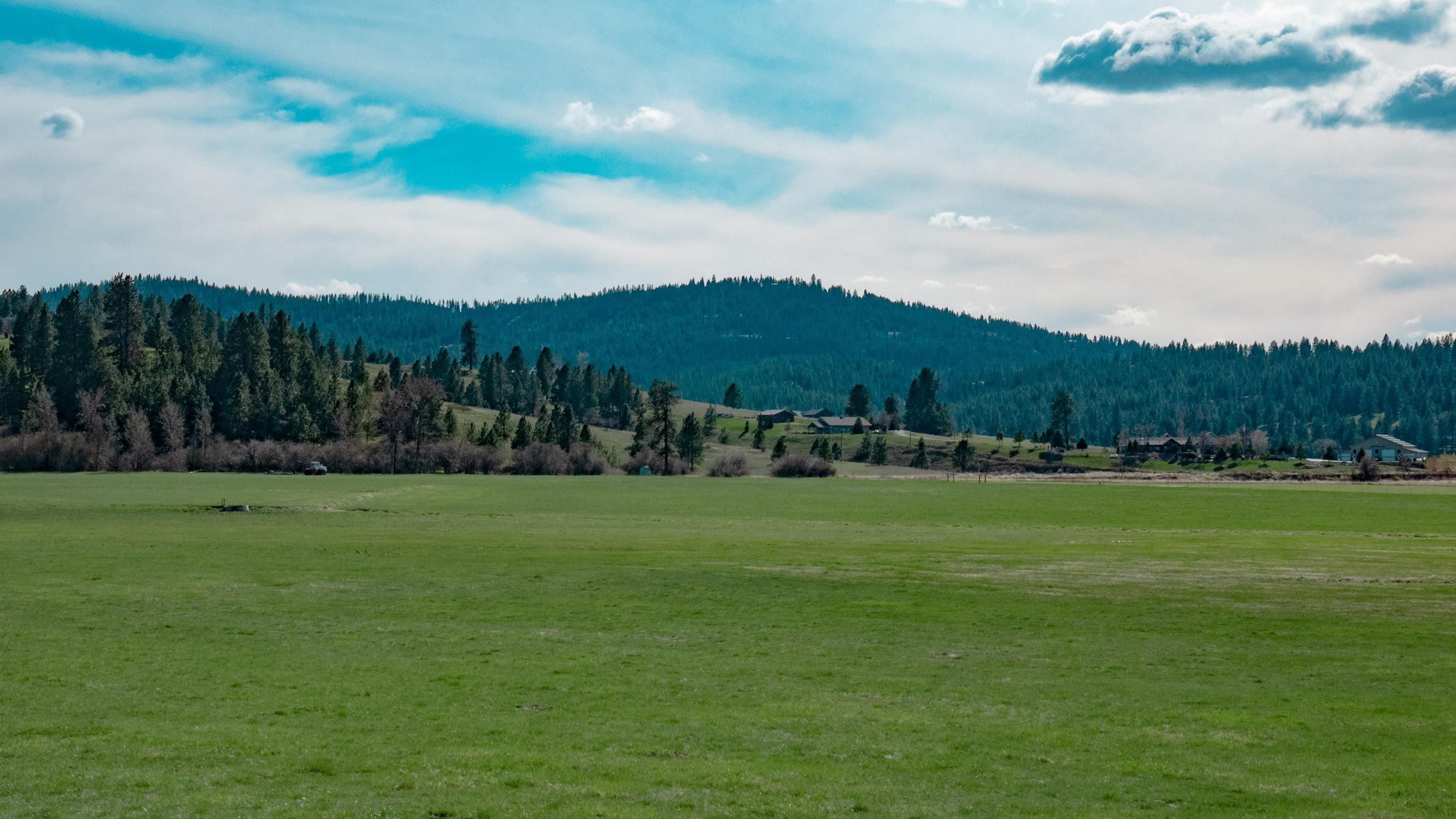 88 Acres, South Henry Road, Spokane Valley, WA 99016 Land and Farm