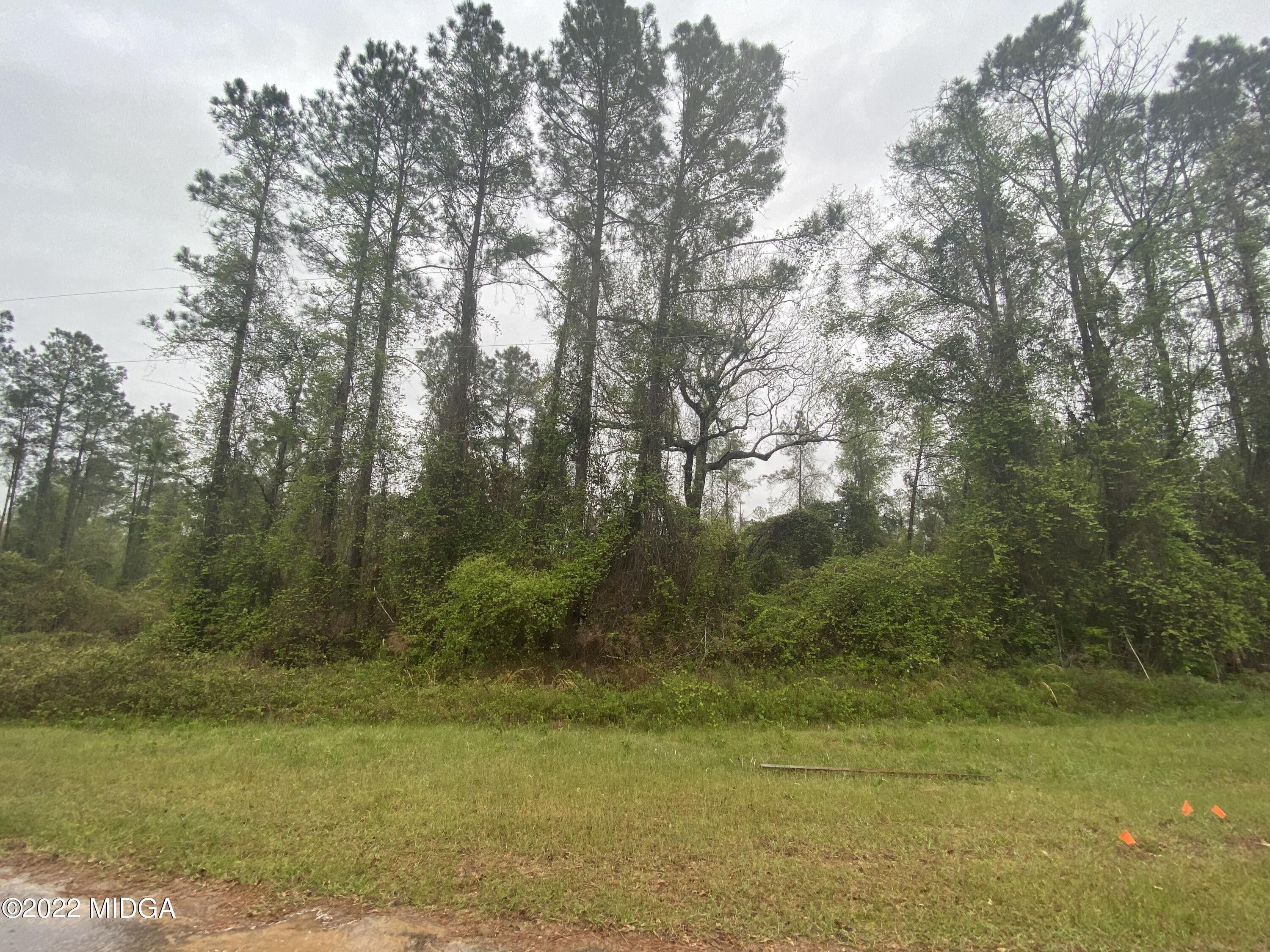 1.27 Acres, lot 13 Hawkeye Court, Oglethorpe, GA 31068 Land and Farm