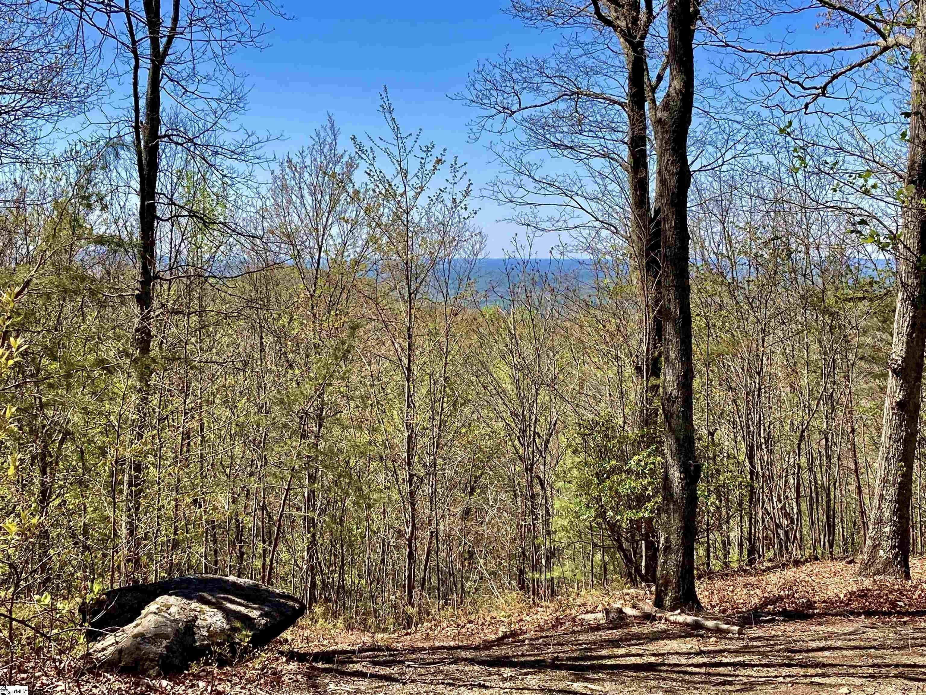 1.87 Acres, 1001 Red Sky Trail, Landrum, SC 29356 Land and Farm