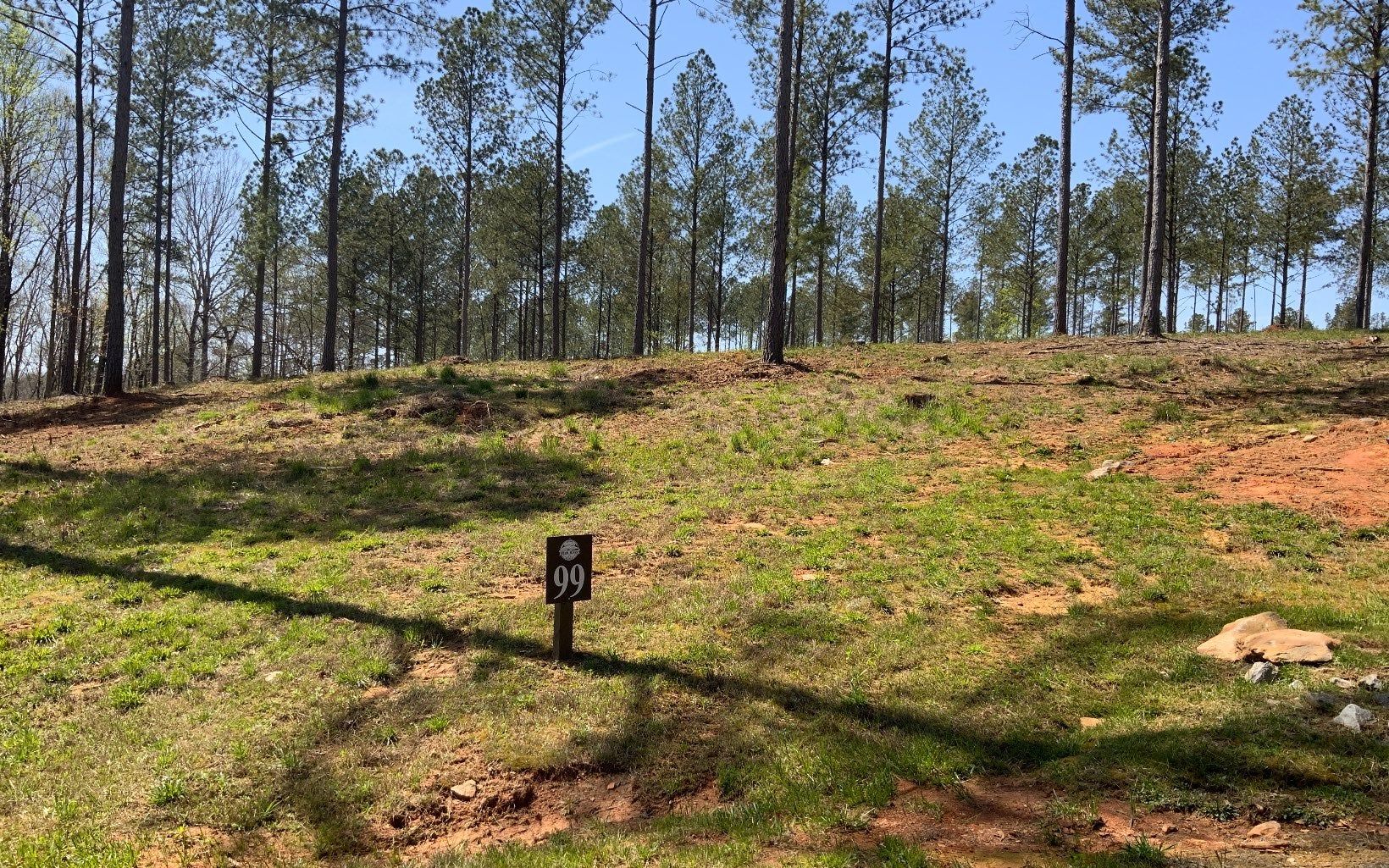 0 High River 99, Ellijay, GA 30540 MLS 315453 Land and Farm