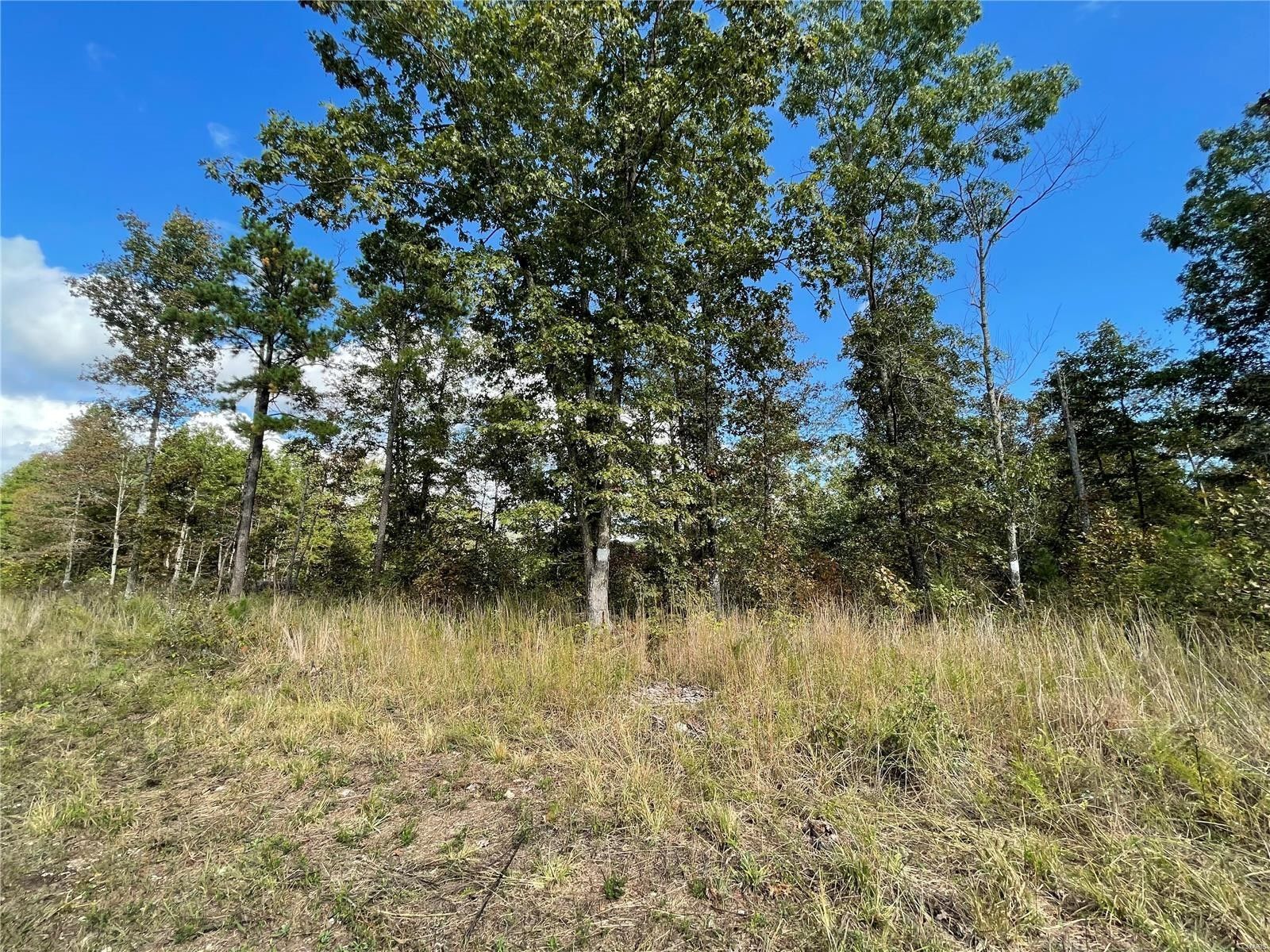 5 Acres, 8 Woodland Heights, Poplar Bluff, MO 63901 Land and Farm