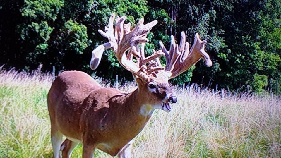 54 Mockler Rd, Gibbon Glade, PA 15440 Land and Farm