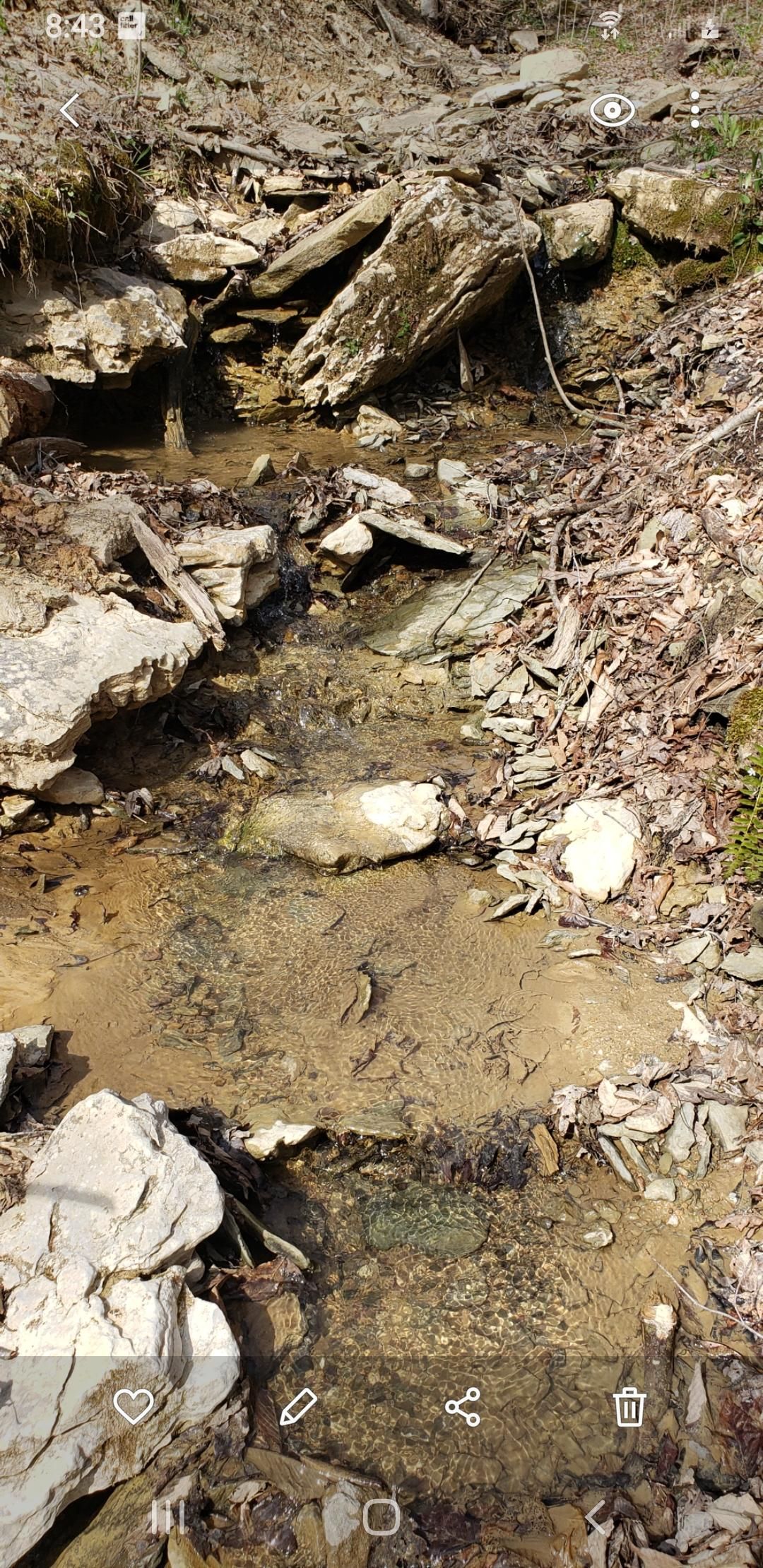 23.24 Acres, Hidden Hollow Drive, Frenchburg, KY 40322 Land and Farm