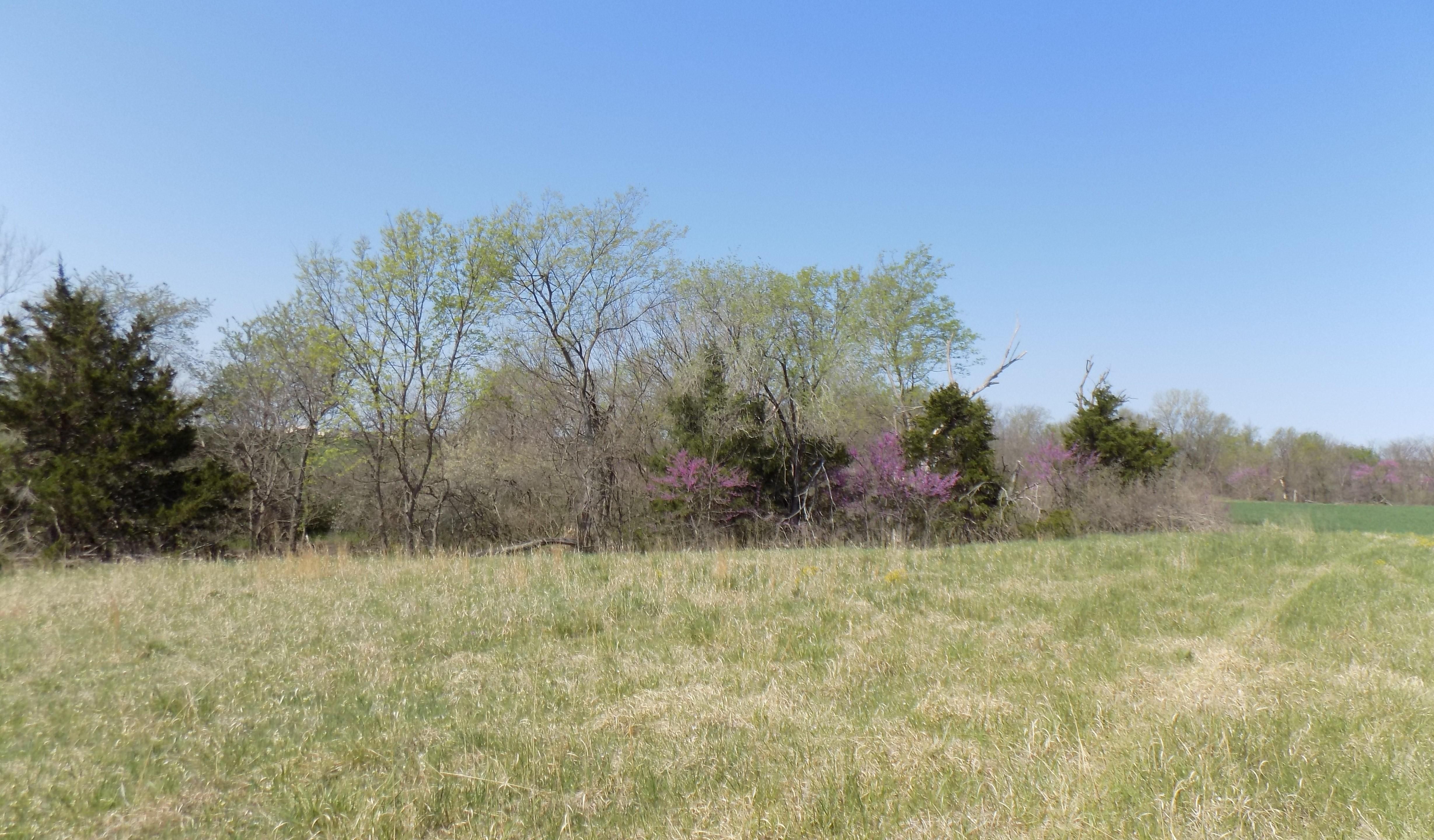 43 Acres, 00000 NE Scott Rd, Greeley, KS 66033 Land and Farm