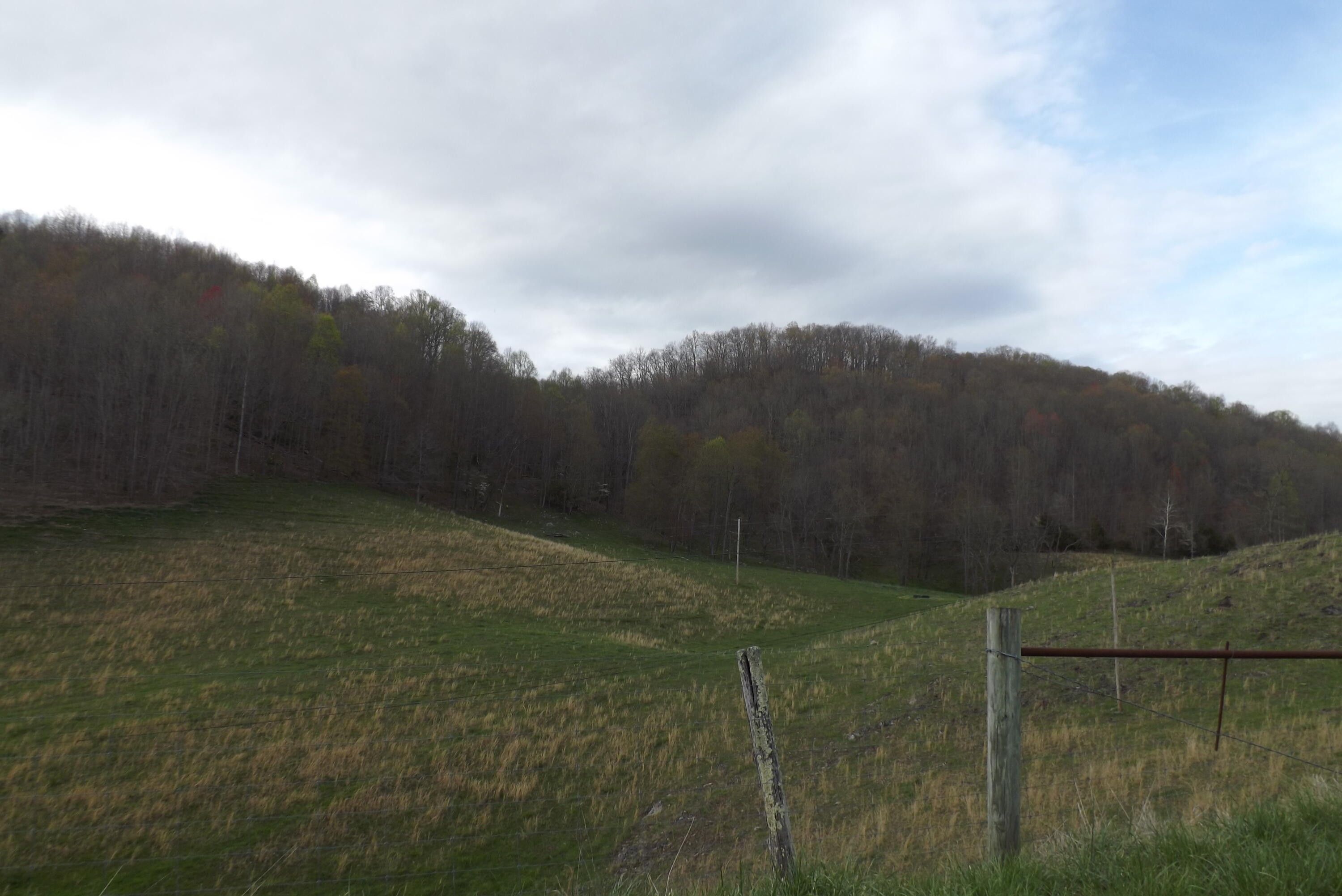 0 Buffalo Hollow, Castlewood, VA 24224 MLS 9936942 Land and Farm