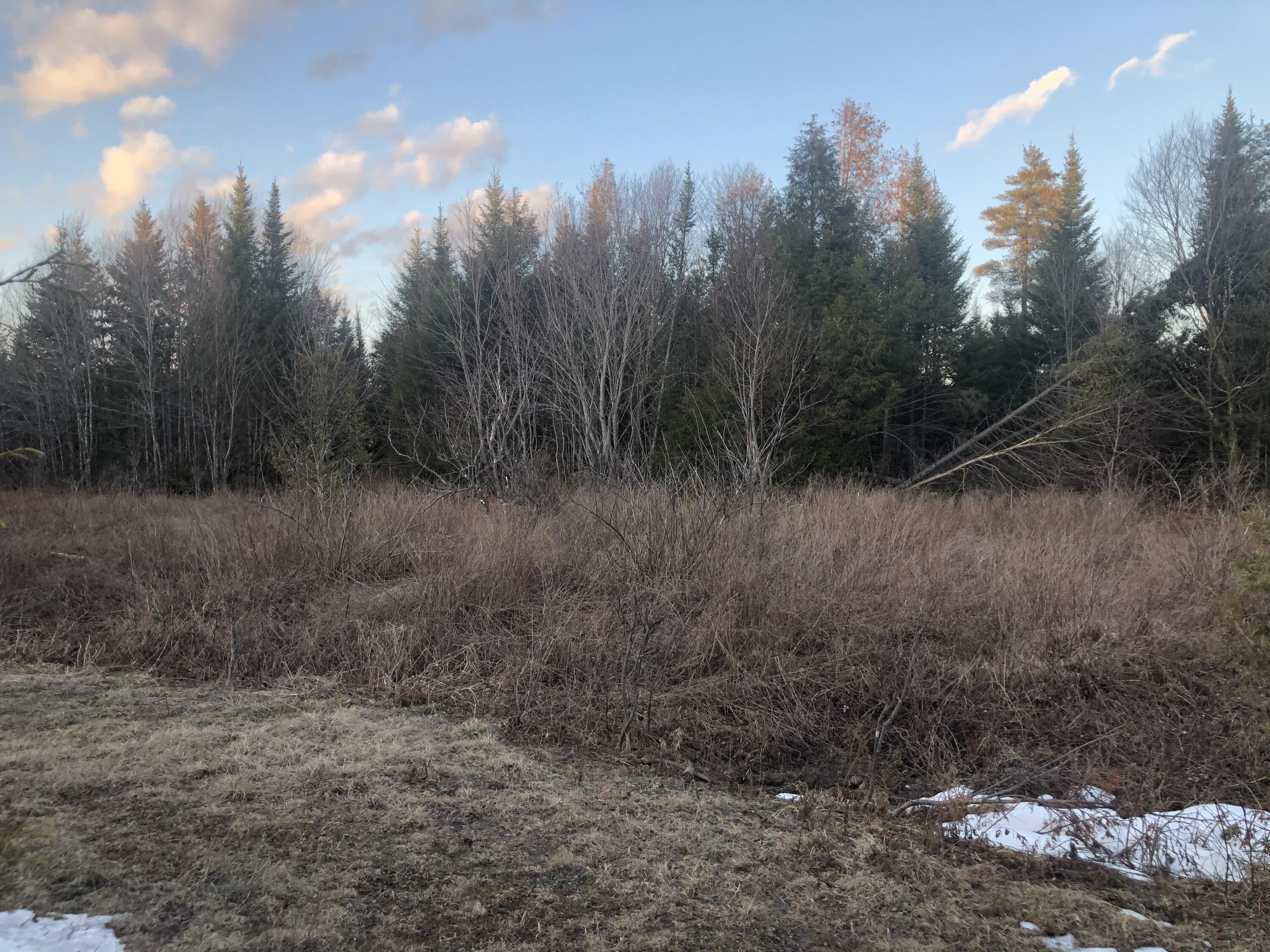 13 Acres, L34 Partridge Lane, Linneus, ME 04730 Land and Farm