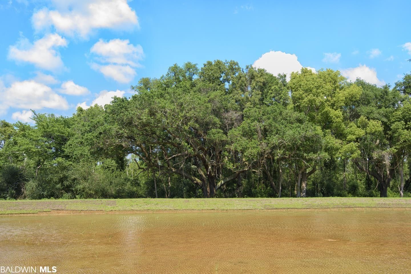 3.6 Acres, Lot 11 Vernant Park Road, Foley, AL 36535 Land and Farm