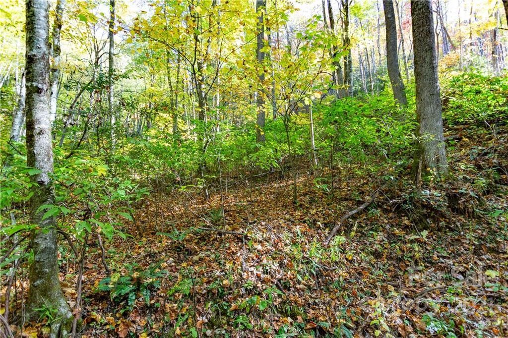 3.3 Acres, Lot 18 Black Rock Road, Qualla, NC 28719 Land and Farm
