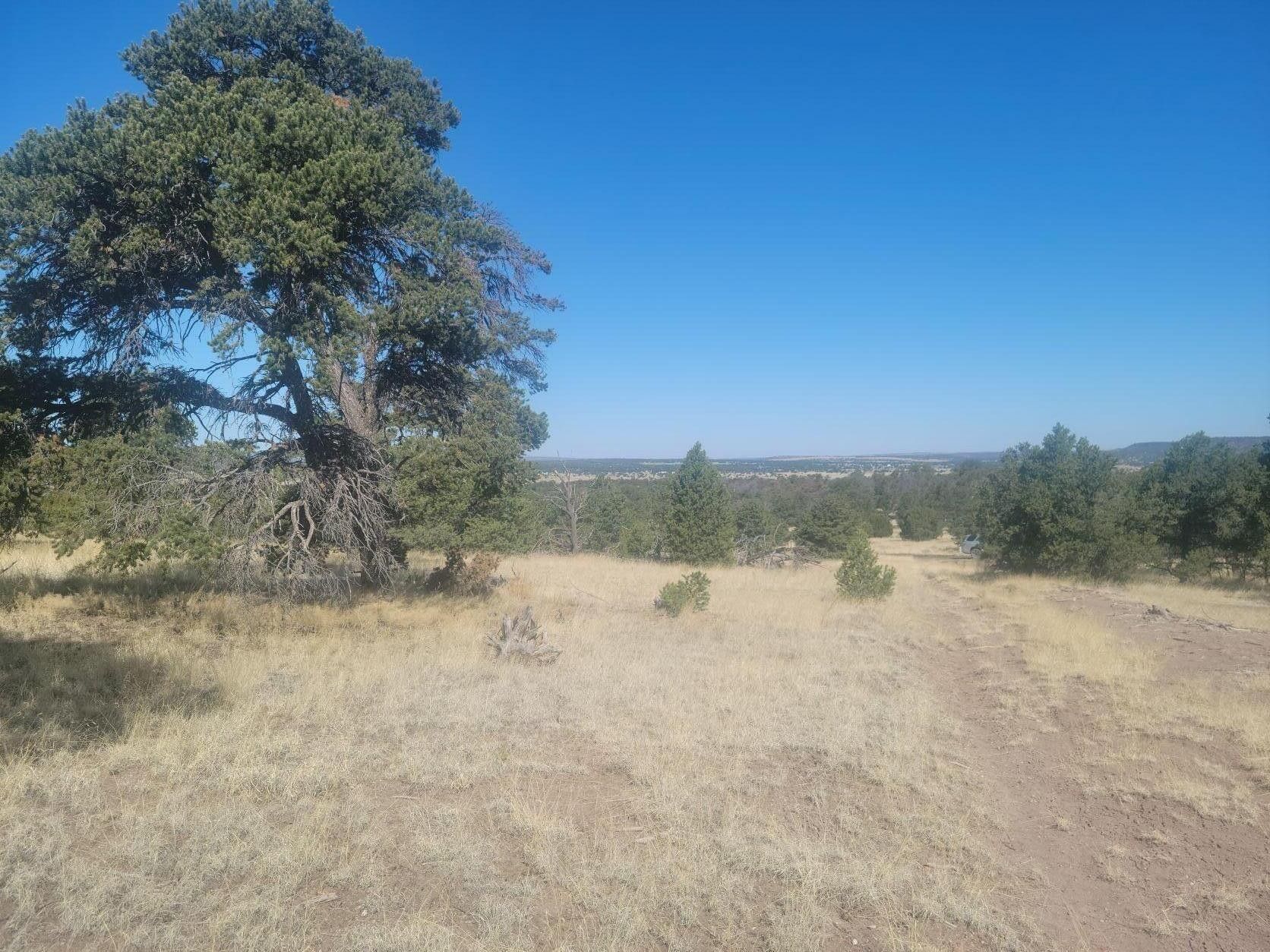 7.9 Acres, Cox Lane, Quemado, NM 87829 Land and Farm
