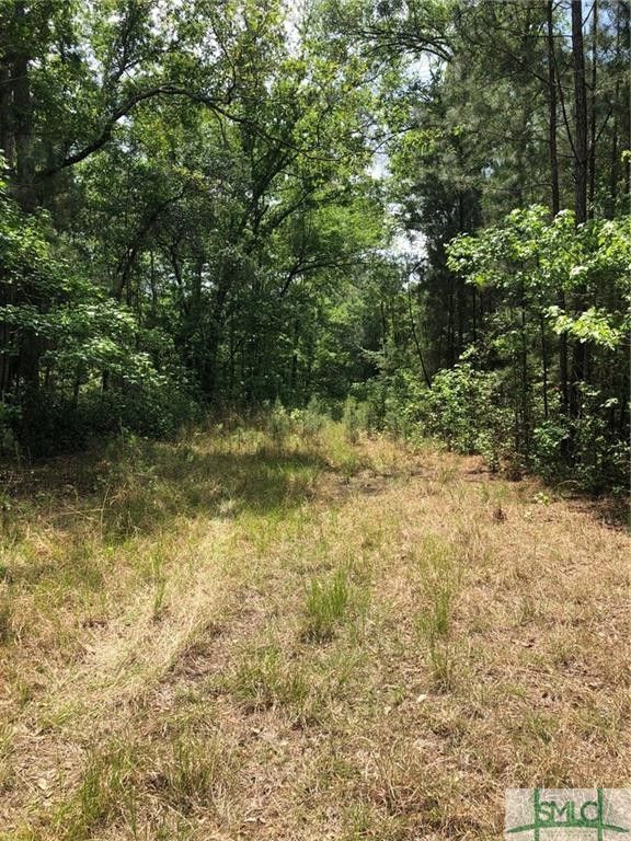90.61 Acres, 0 Shearwood Road, Guyton, GA 31312 Land and Farm