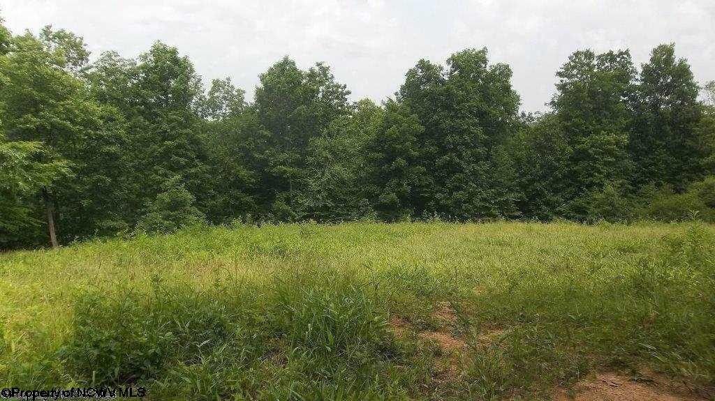 3.71 Acres, LOT 2 JACKSONS RIDGE STONEWALL LAKE Cove, Roanoke, WV