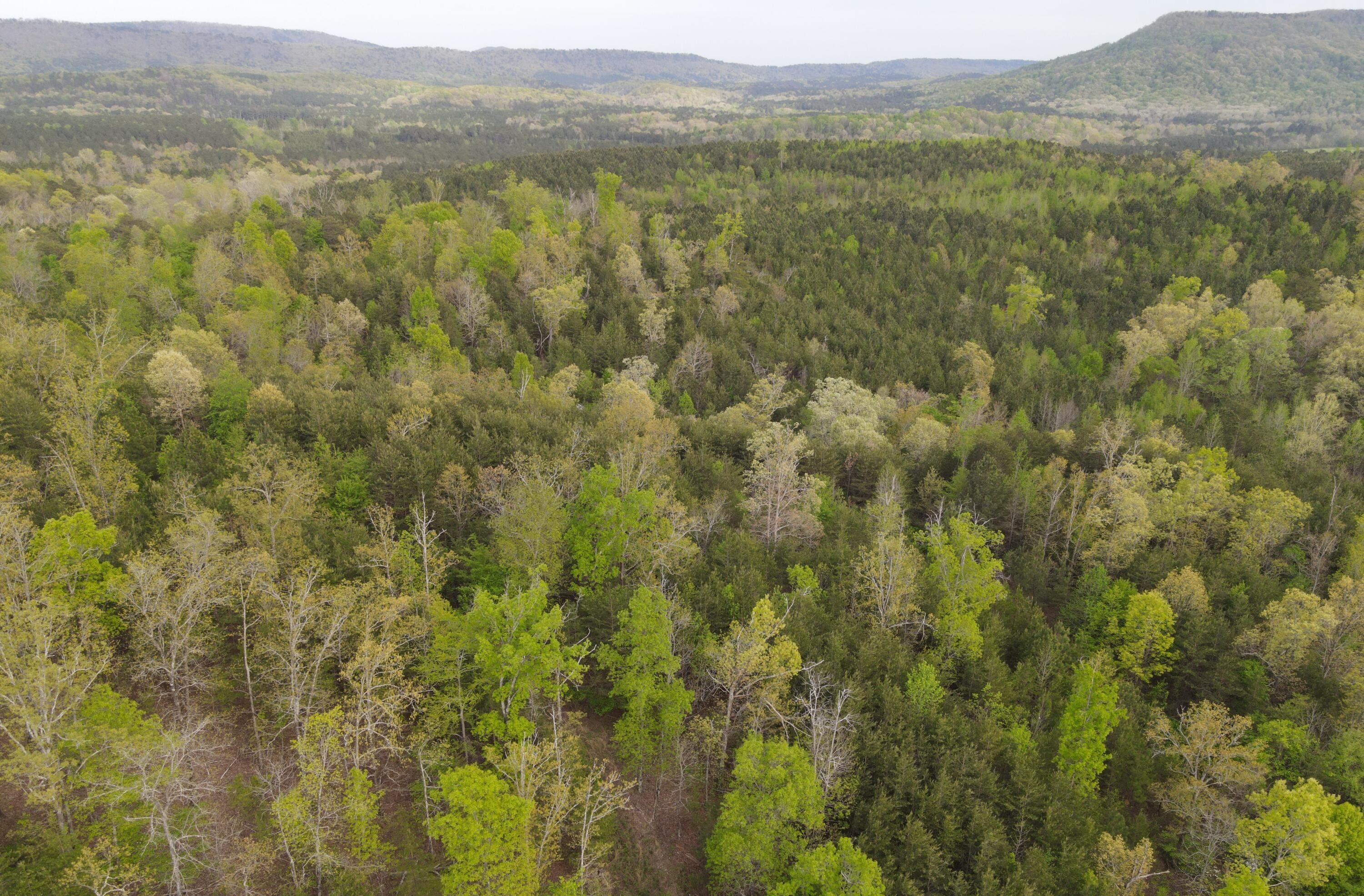 82 Acres, 0 E Armuchee East Rd, Lafayette, GA 30728 Land and Farm