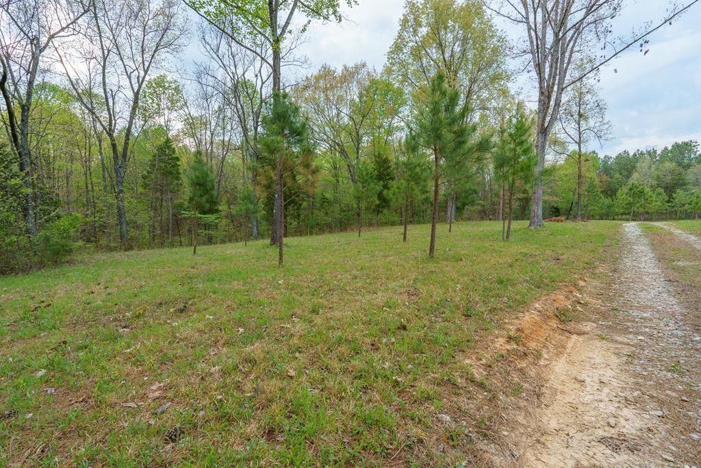 3.43 Acres, Mcintire Ln, Fordsville, KY 42343 Land and Farm