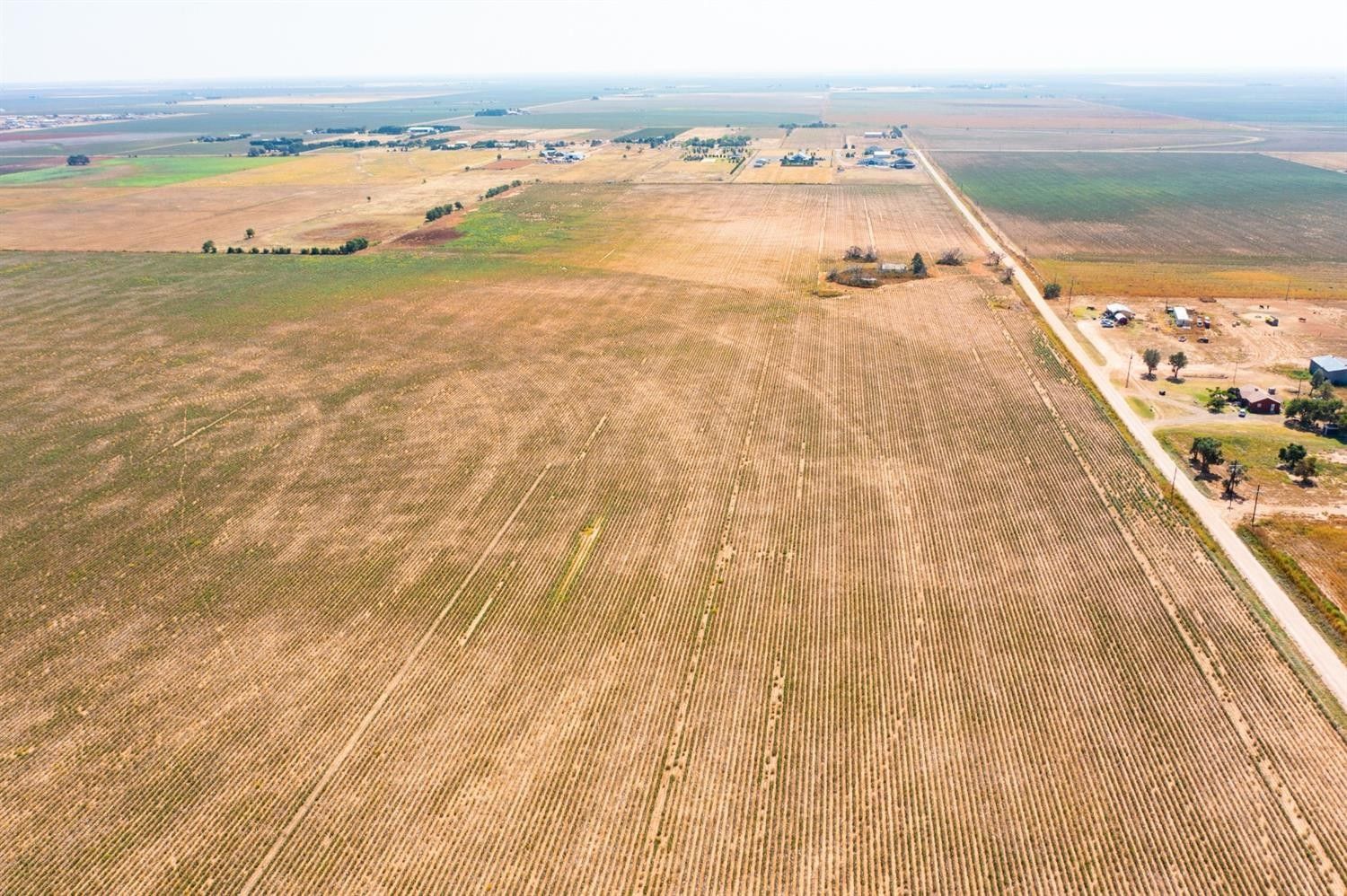 200 Acres, 15311 County Road 1200, Ropesville, TX 79358 Land and Farm