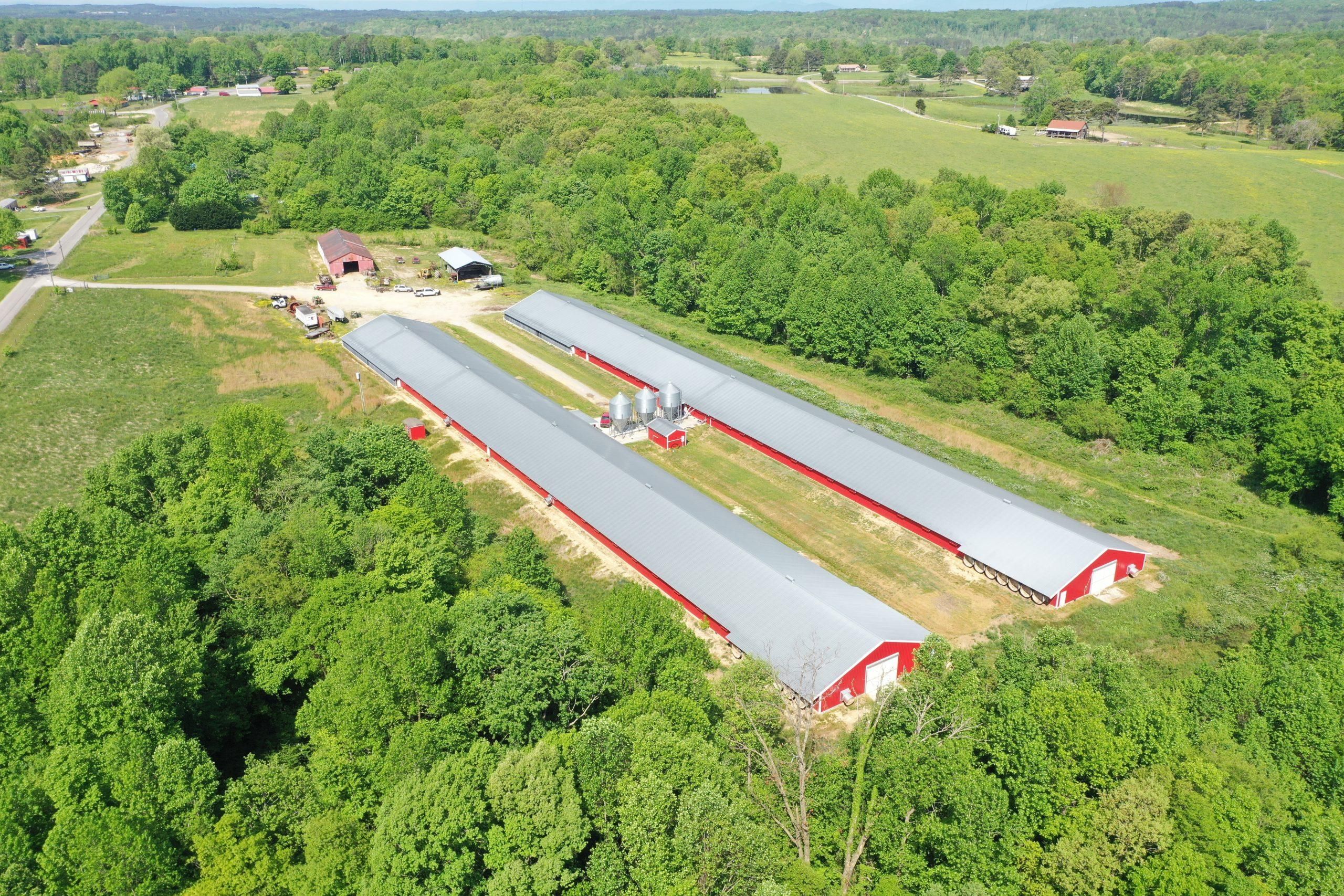 11 Acres, County Road 687, Flat Rock, AL 35966 Land and Farm