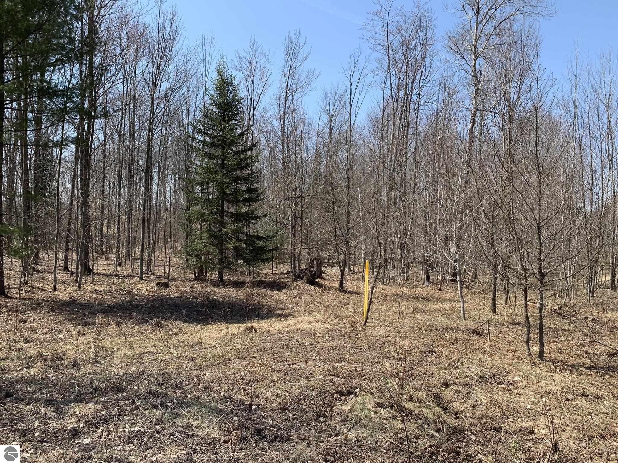 10.1 Acres, Lot D Prough Road, South Boardman, MI 49680 Land and Farm