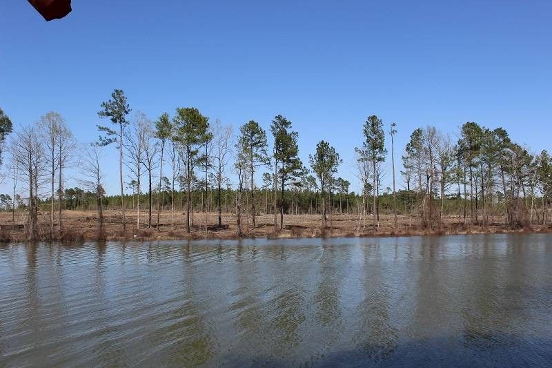 52 Acres, TBD Caribbean Dr, Florien, LA 71429 Land and Farm