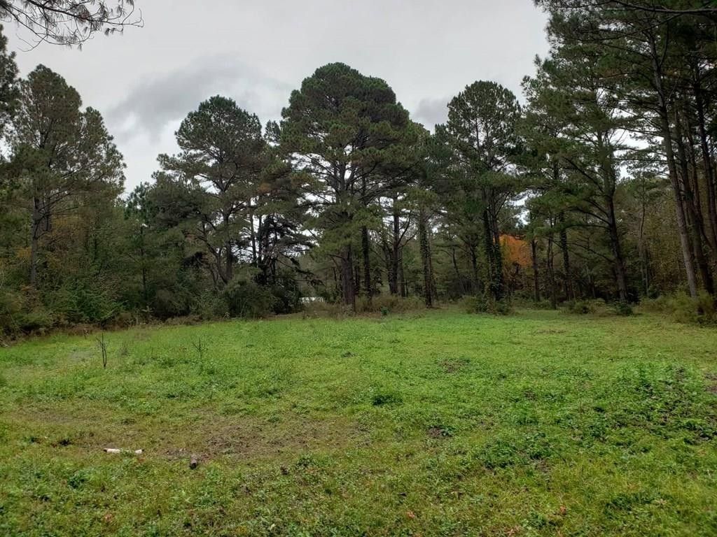 9.88 Acres, 0 Lumber City Hwy, Hazlehurst, GA 31539 Land and Farm