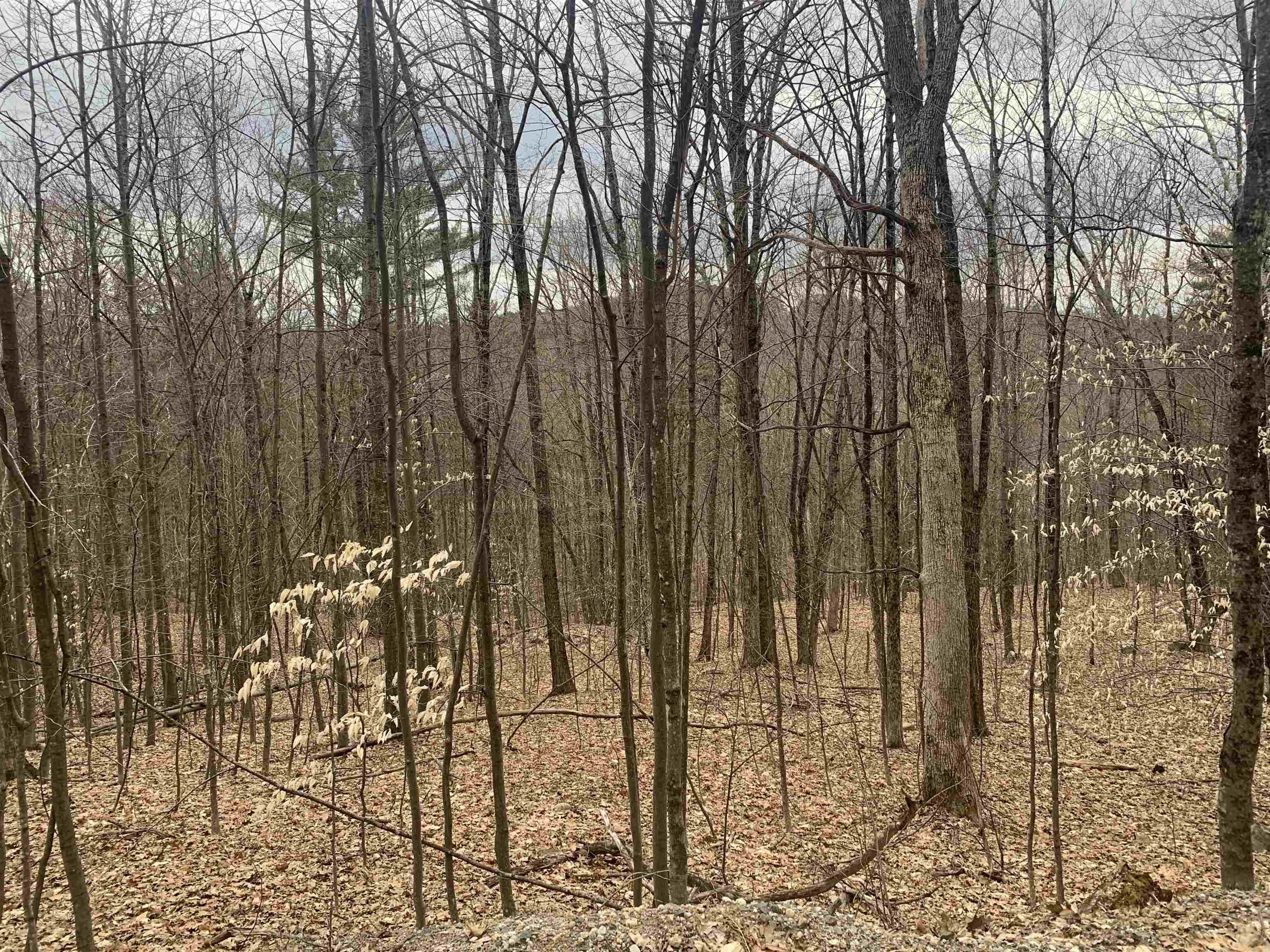 6.17 Acres, 00 Red Hill Road, Moultonborough, NH 03254 Land and Farm