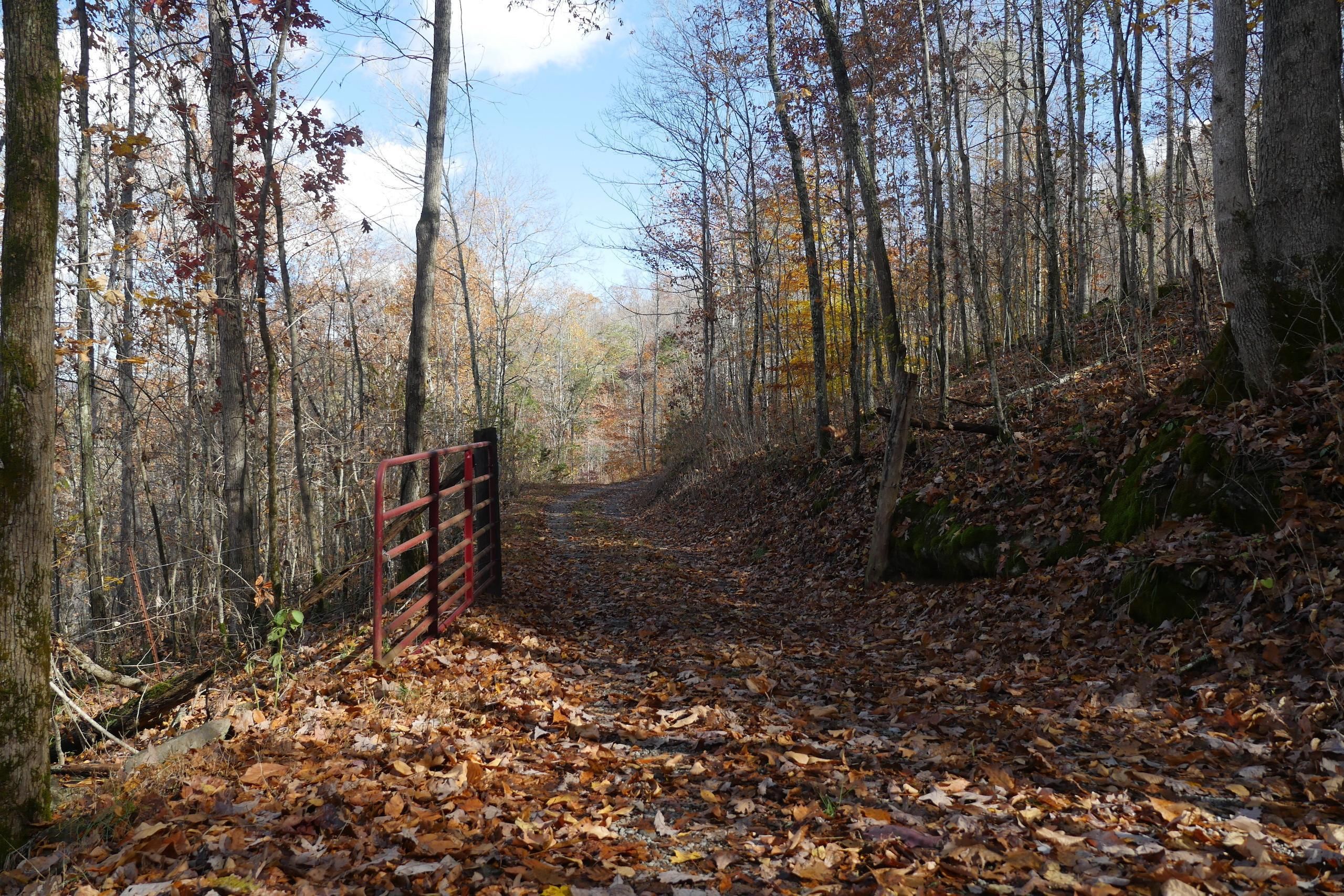 48 Acres, 444 Silver Leaf Poplar Lane, LOTWP001, Gate City, VA 24251