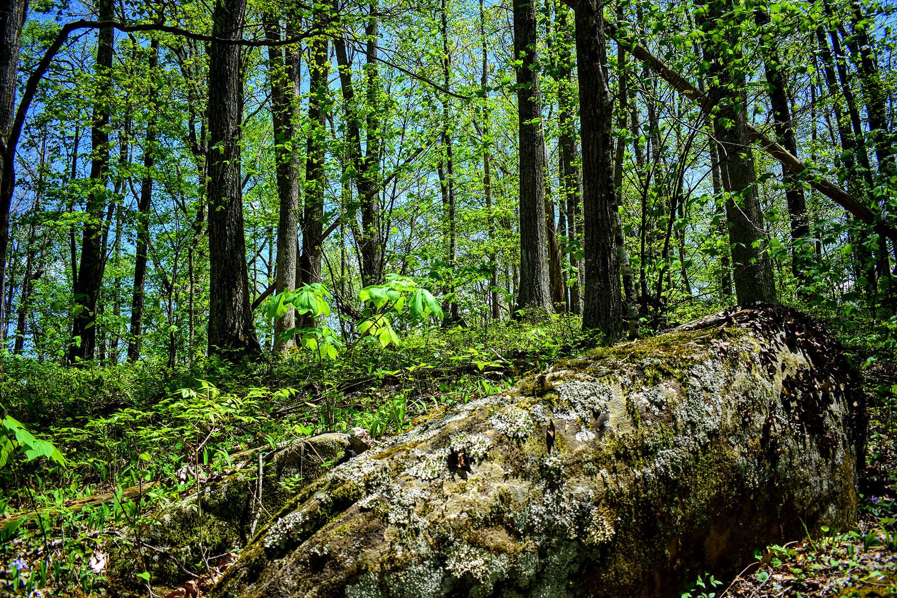 Lot 225 Ontario Dr, Boone, NC 28607 MLS 237317 Land and Farm