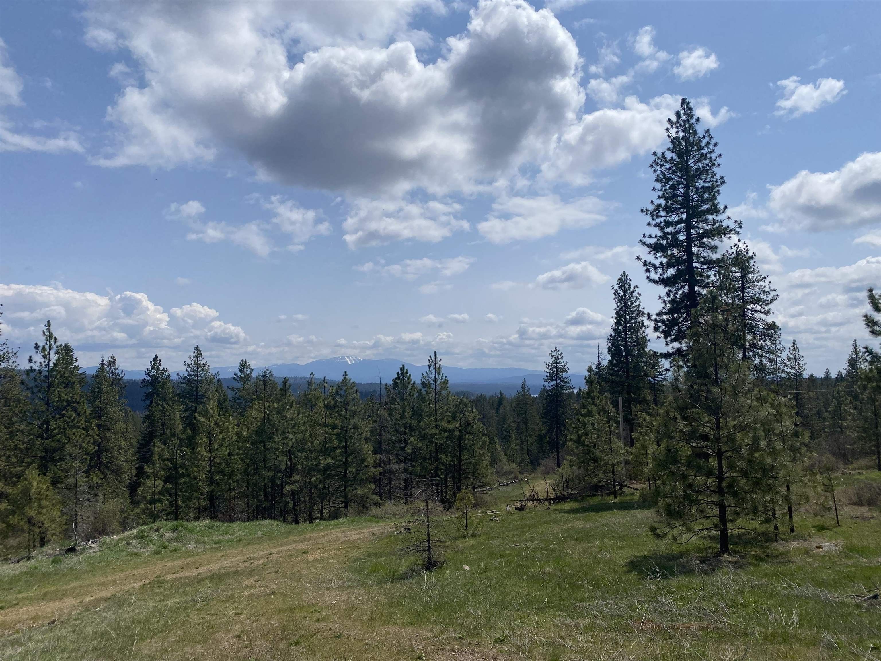 15.81 Acres, Xx Horseshoe Lake, Deer Park, WA 99006 Land and Farm