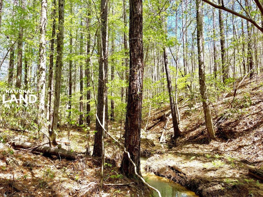 11870 Bama Rock Garden Road, Vance, AL 35490 Land and Farm