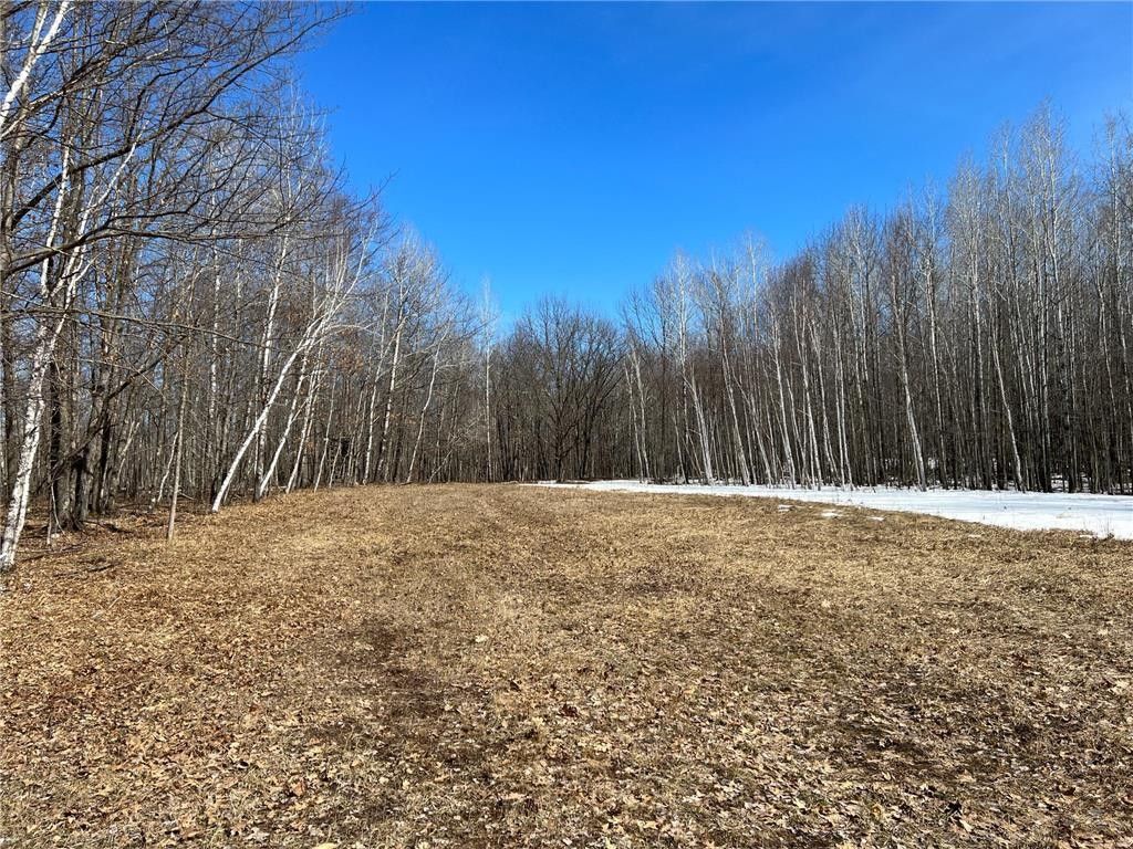 40 Acres, Tbd Meadow Road, Sturgeon Lake, MN 55783 Land and Farm