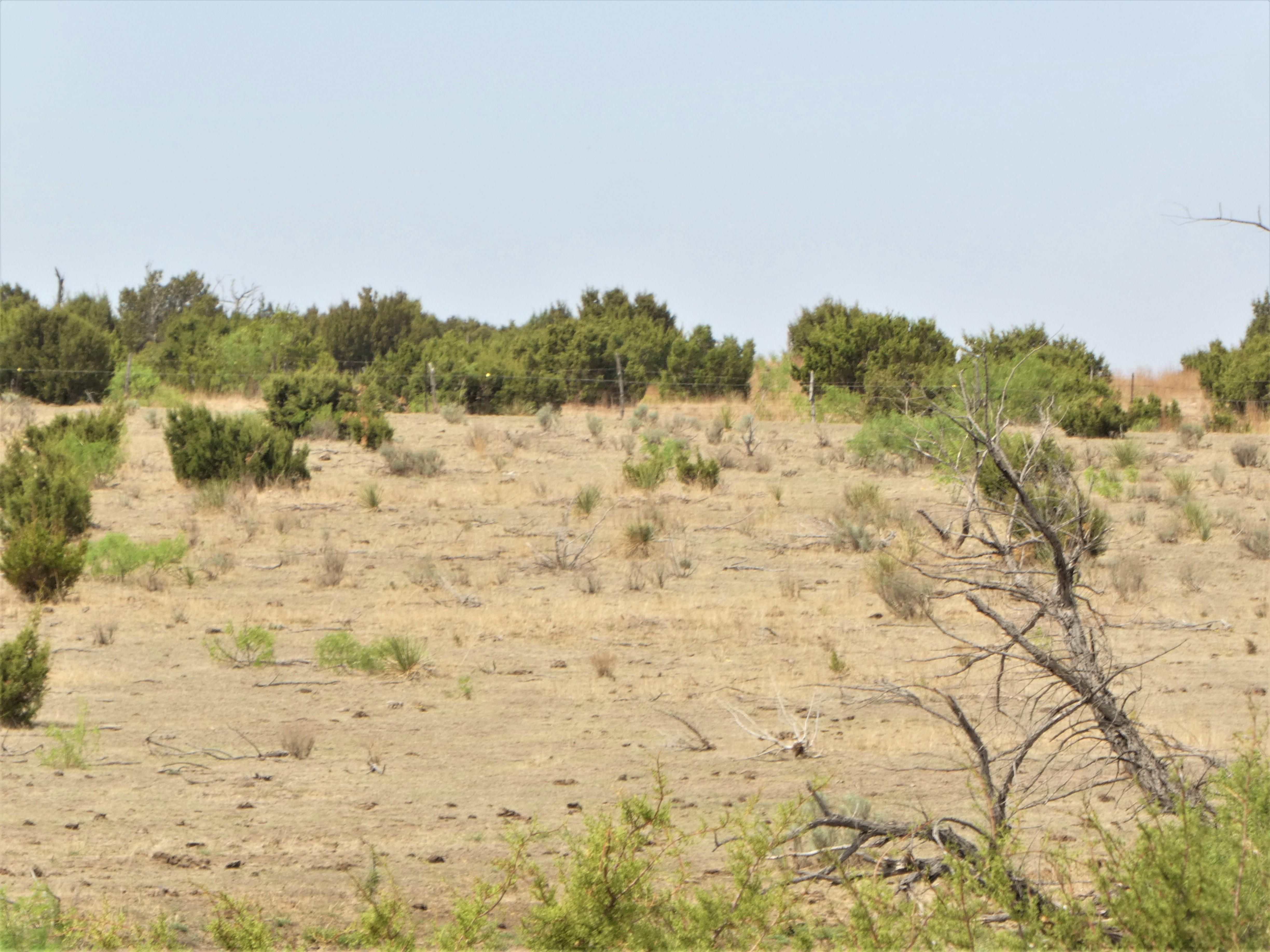 4055 State Highway 70, Clarendon, TX 79226 Land and Farm