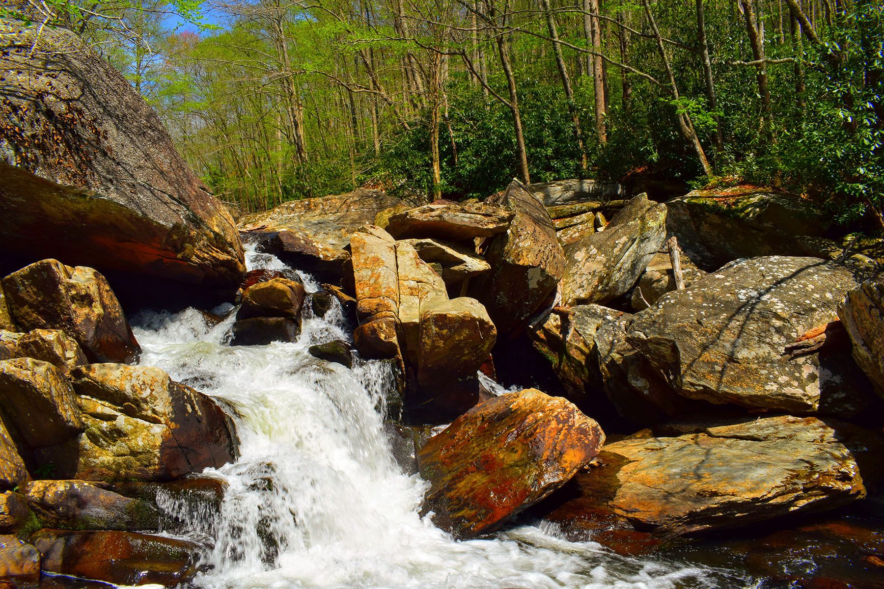 2.2 Acres, Lot 325 Twin Rivers Dr, Boone, NC 28607 Land and Farm