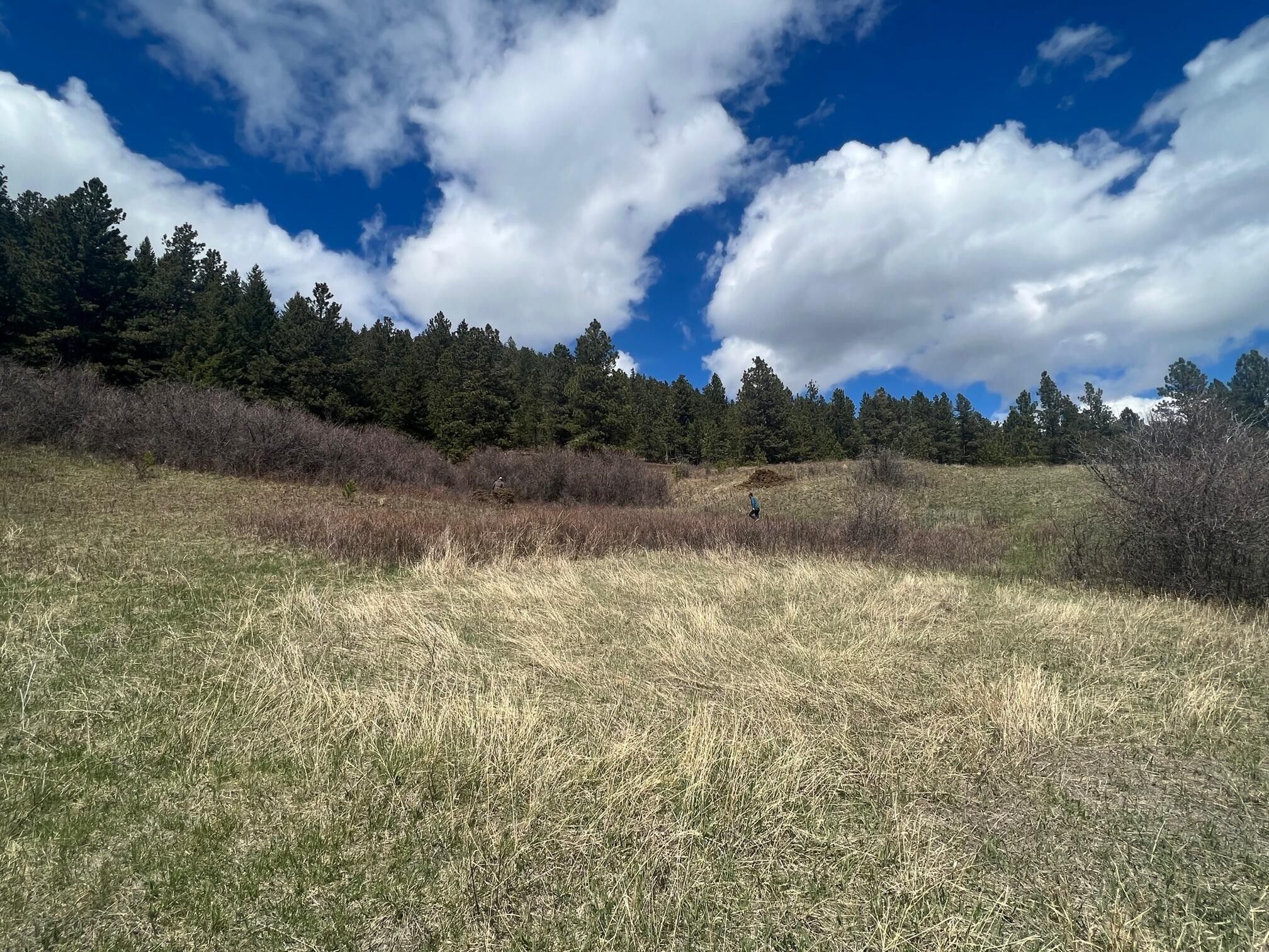 219 Acres, Nhn Ruby Gulch, Lewistown, MT 59457 Land and Farm
