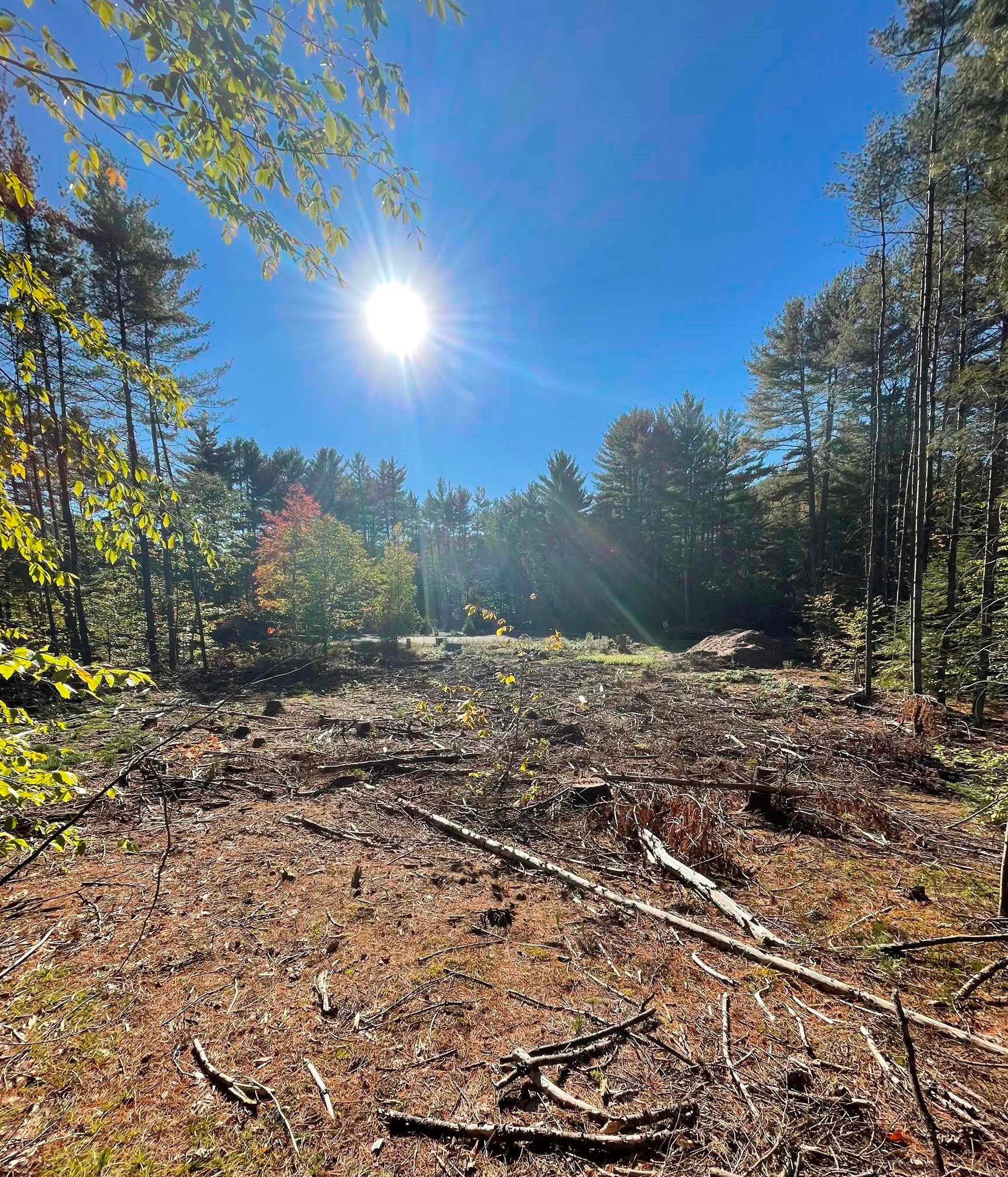 1.03 Acres, 10 Fraser Road, Thornton, NH 03285 Land and Farm